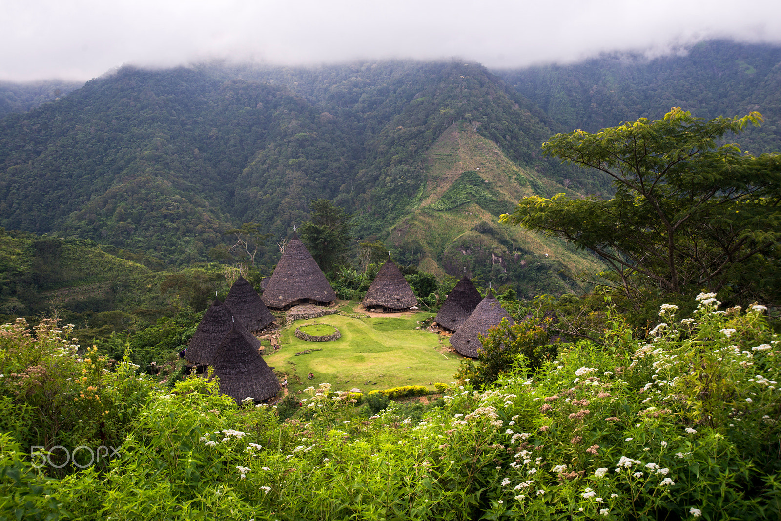 Nikon D600 sample photo. Waerebo village photography