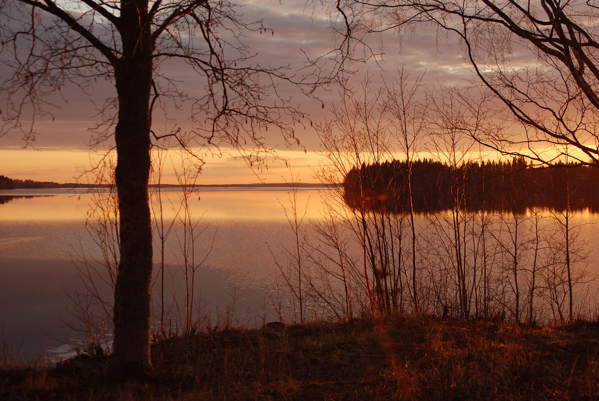 Nikon D80 + AF Zoom-Nikkor 28-105mm f/3.5-4.5D IF sample photo. Lake porovesi sunset photography