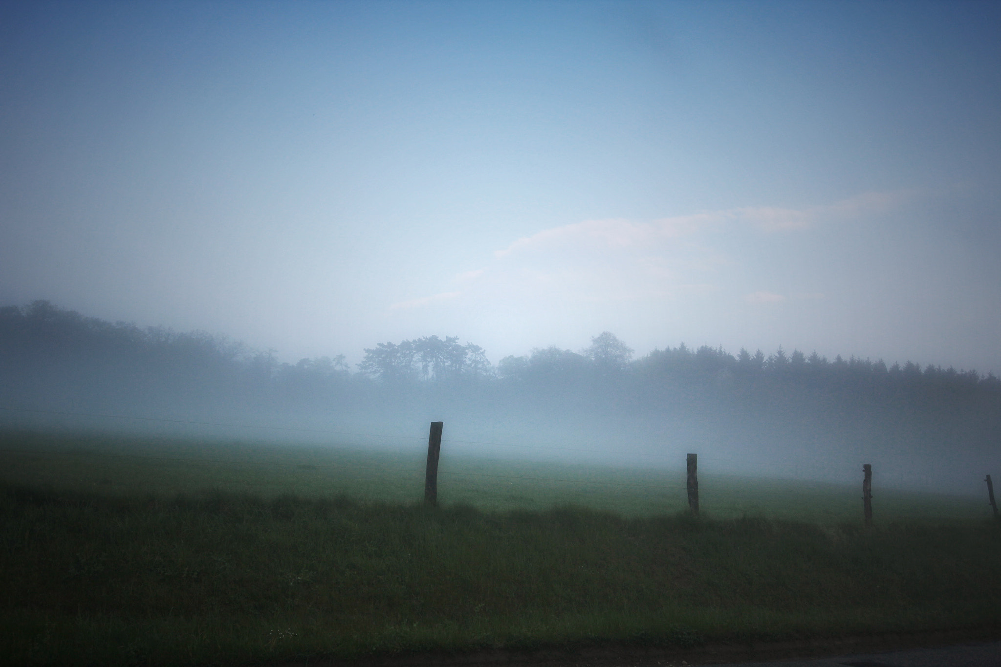 Sigma 12-24mm F4.5-5.6 II DG HSM sample photo. Brouillard damphreux photography