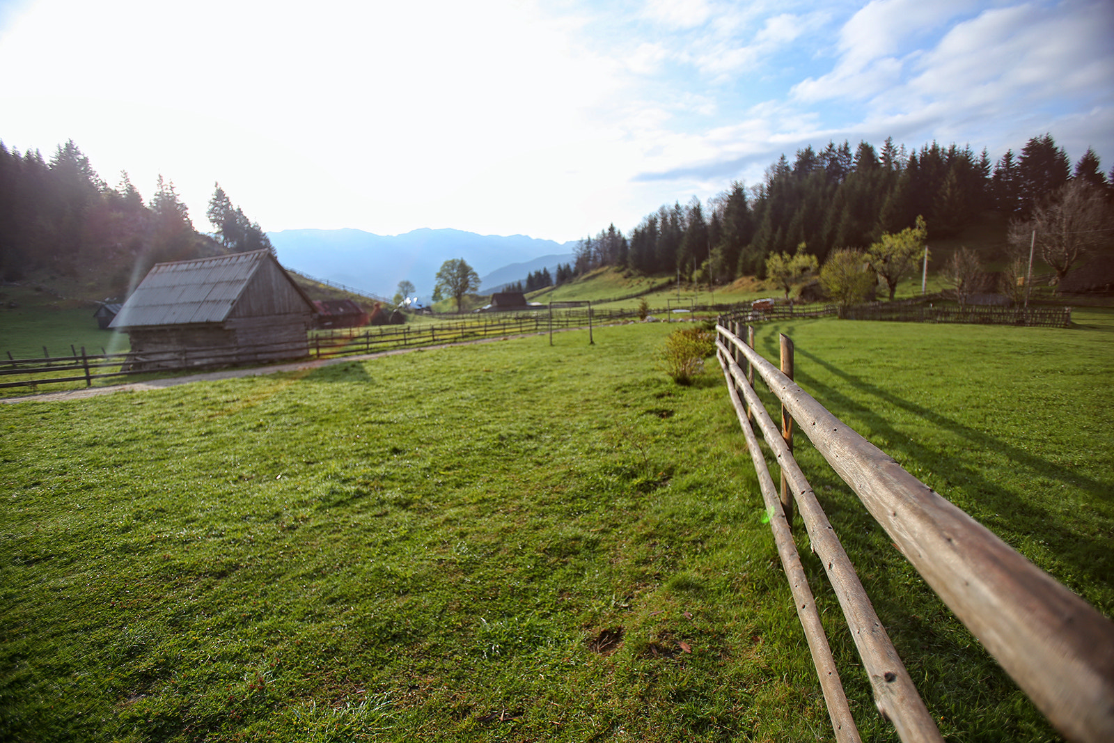 Canon EOS 6D + Canon EF 16-35mm F2.8L USM sample photo. Sunny day photography