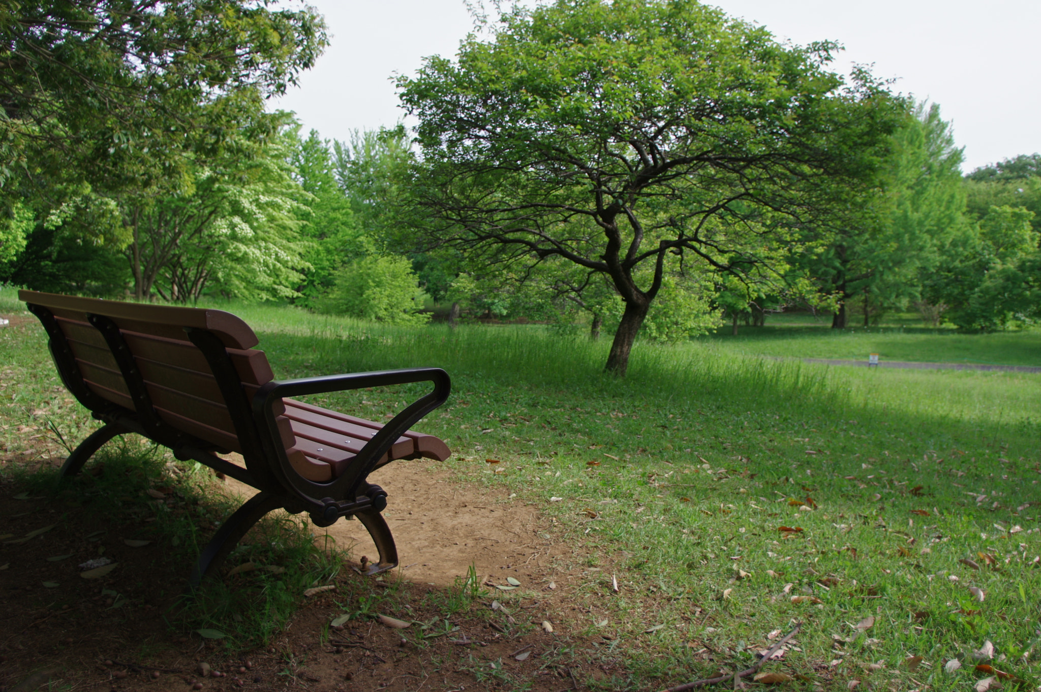 Pentax K-3 sample photo. The benches are one of my themes... photography