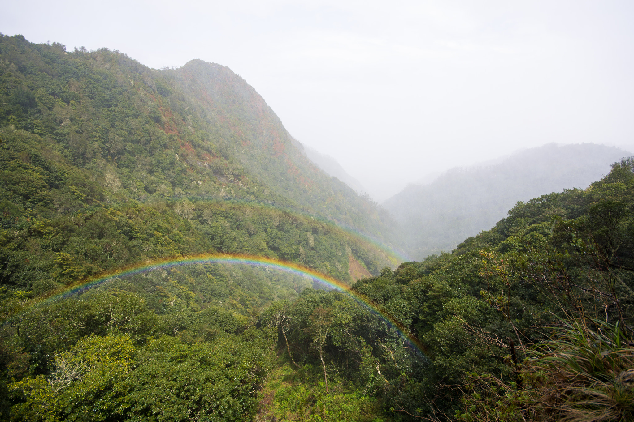 Sigma 10-20mm F4-5.6 EX DC HSM sample photo. Rainbow in a fog photography