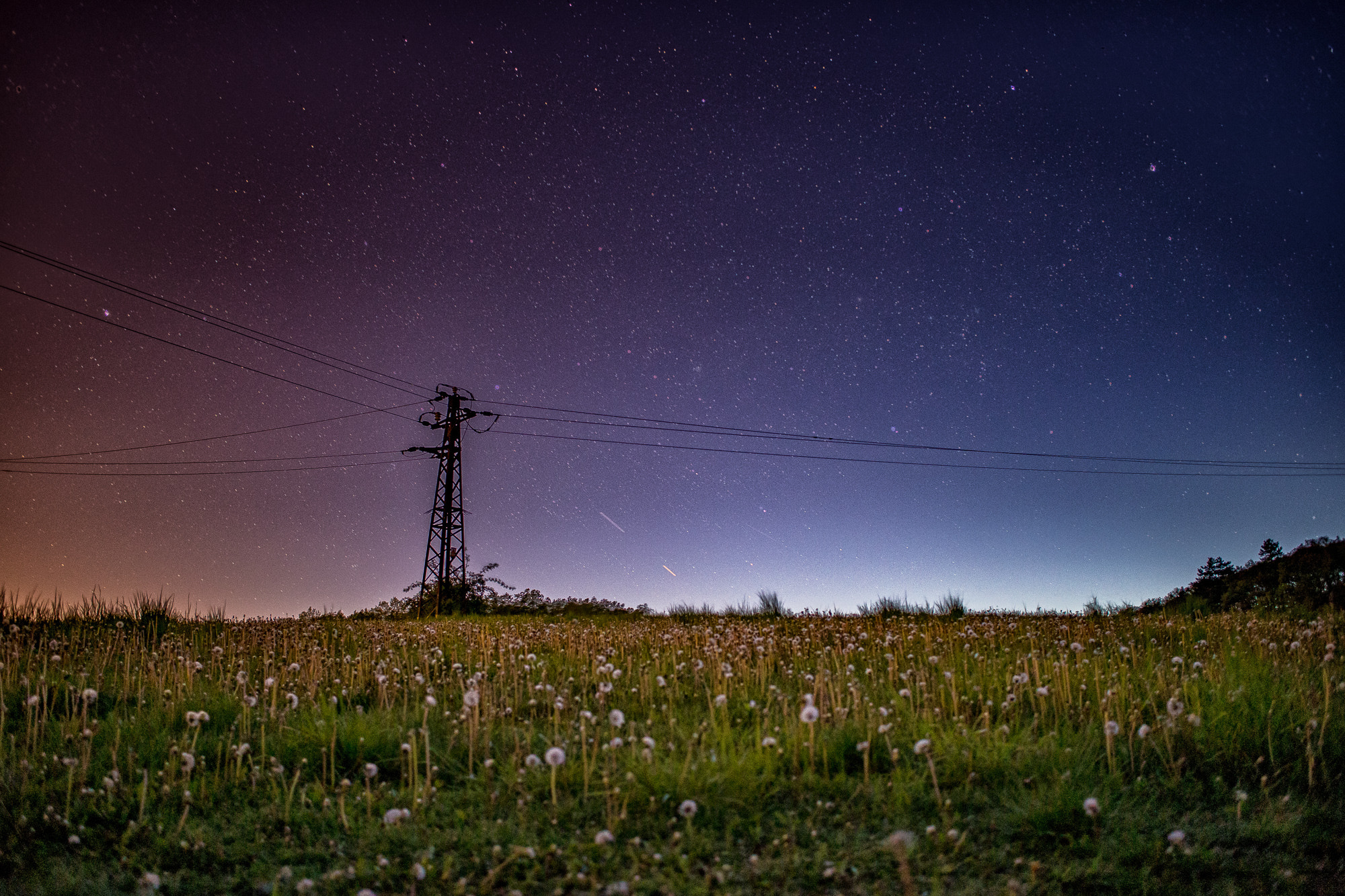 Canon EOS 6D + Canon EF 28mm F2.8 sample photo. Dandelions and wires photography