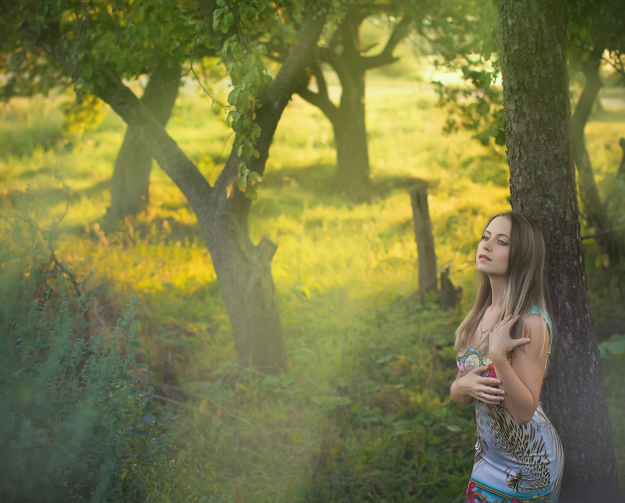 Canon EOS 60D + Canon EF 50mm F1.2L USM sample photo. В вечерних лучах. photography