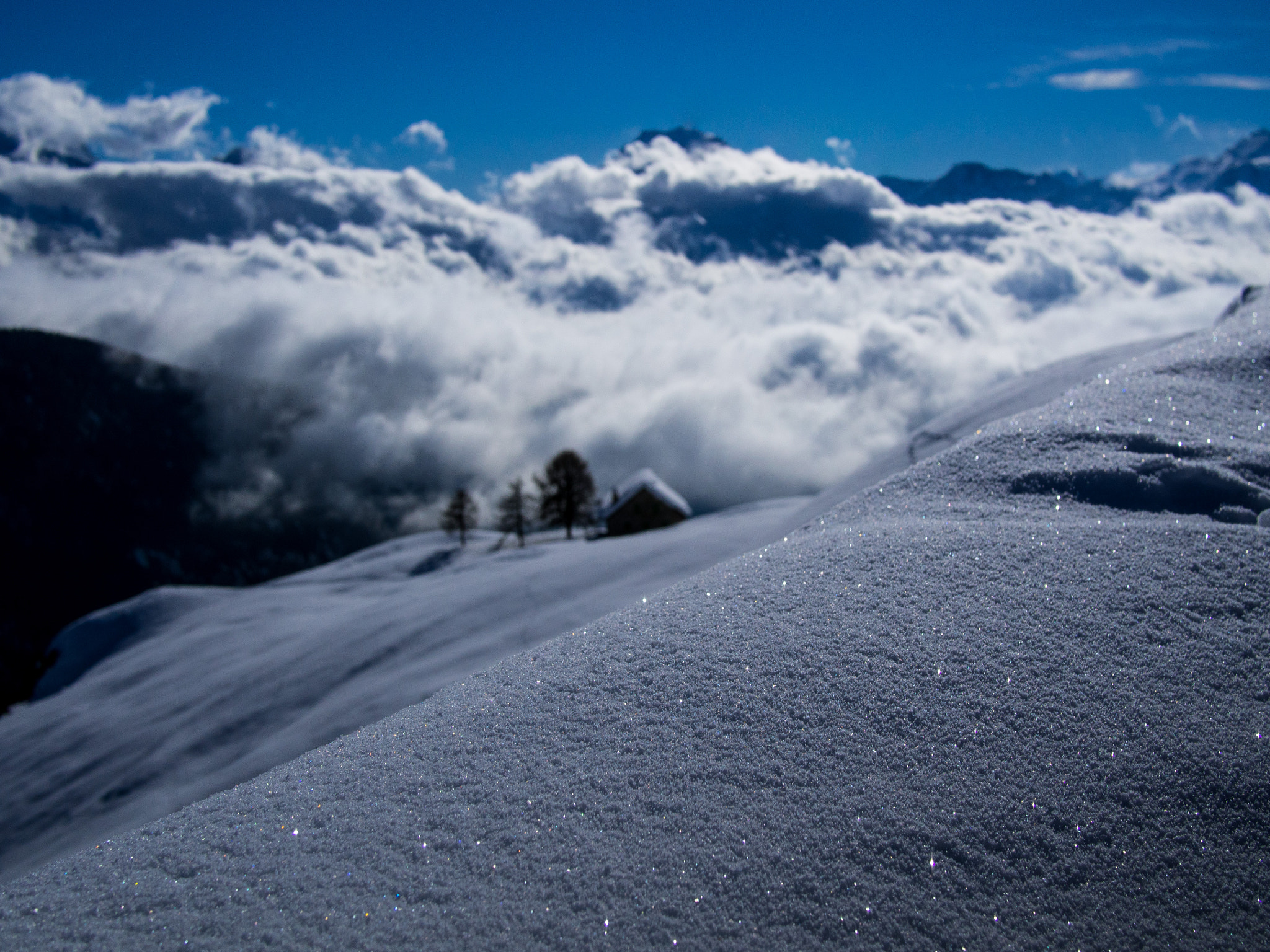 Olympus OM-D E-M5 + LUMIX G 20/F1.7 II sample photo. Fresh snow photography
