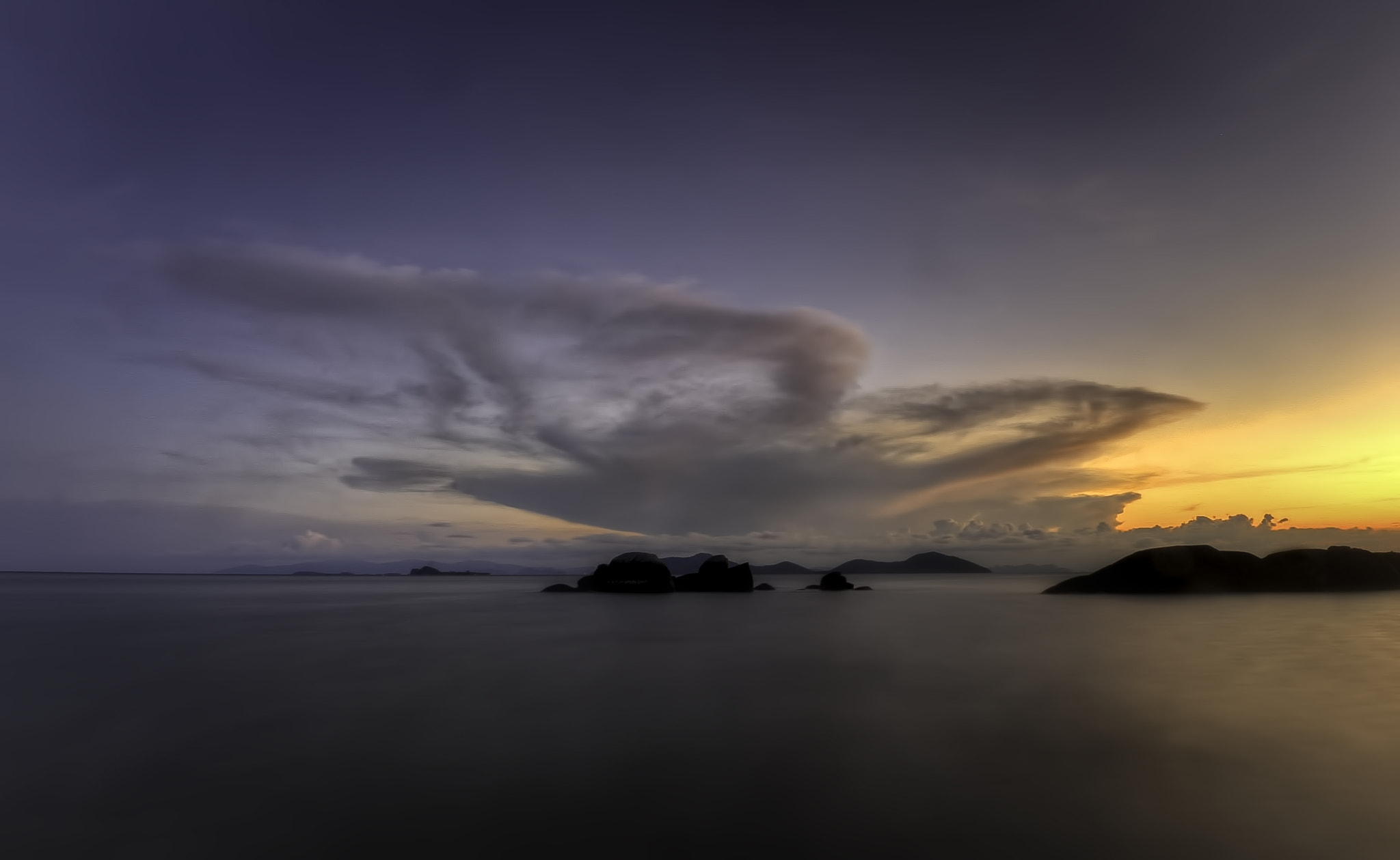 Nikon D200 + Nikon AF Fisheye-Nikkor 16mm F2.8D sample photo. Bird in the sky photography