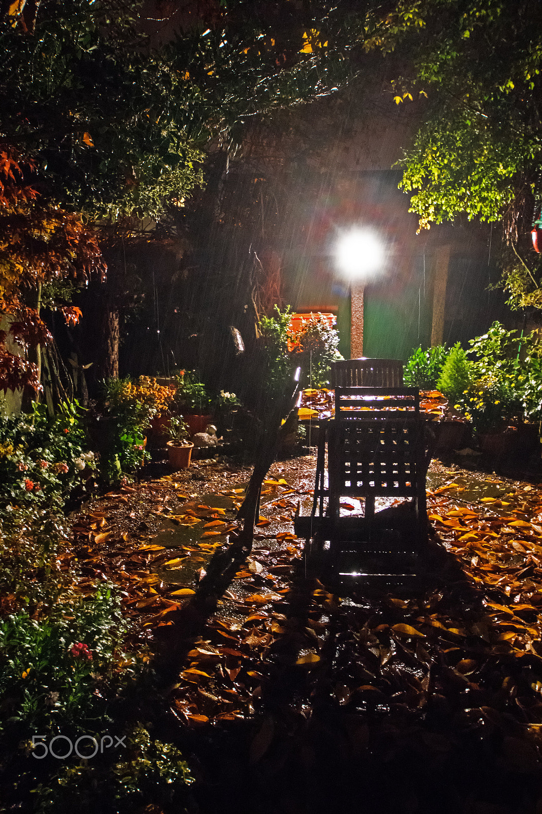 Sony a7R + Sony DT 11-18mm F4.5-5.6 sample photo. Hidden garden nook photography