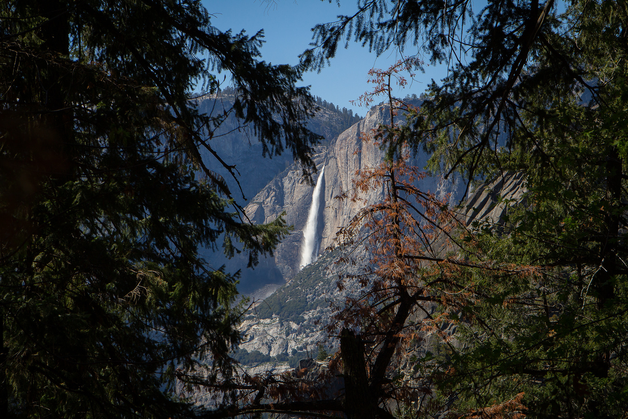 Canon EOS 100D (EOS Rebel SL1 / EOS Kiss X7) + Canon EF 24-70mm F2.8L USM sample photo. Yosemite falls photography