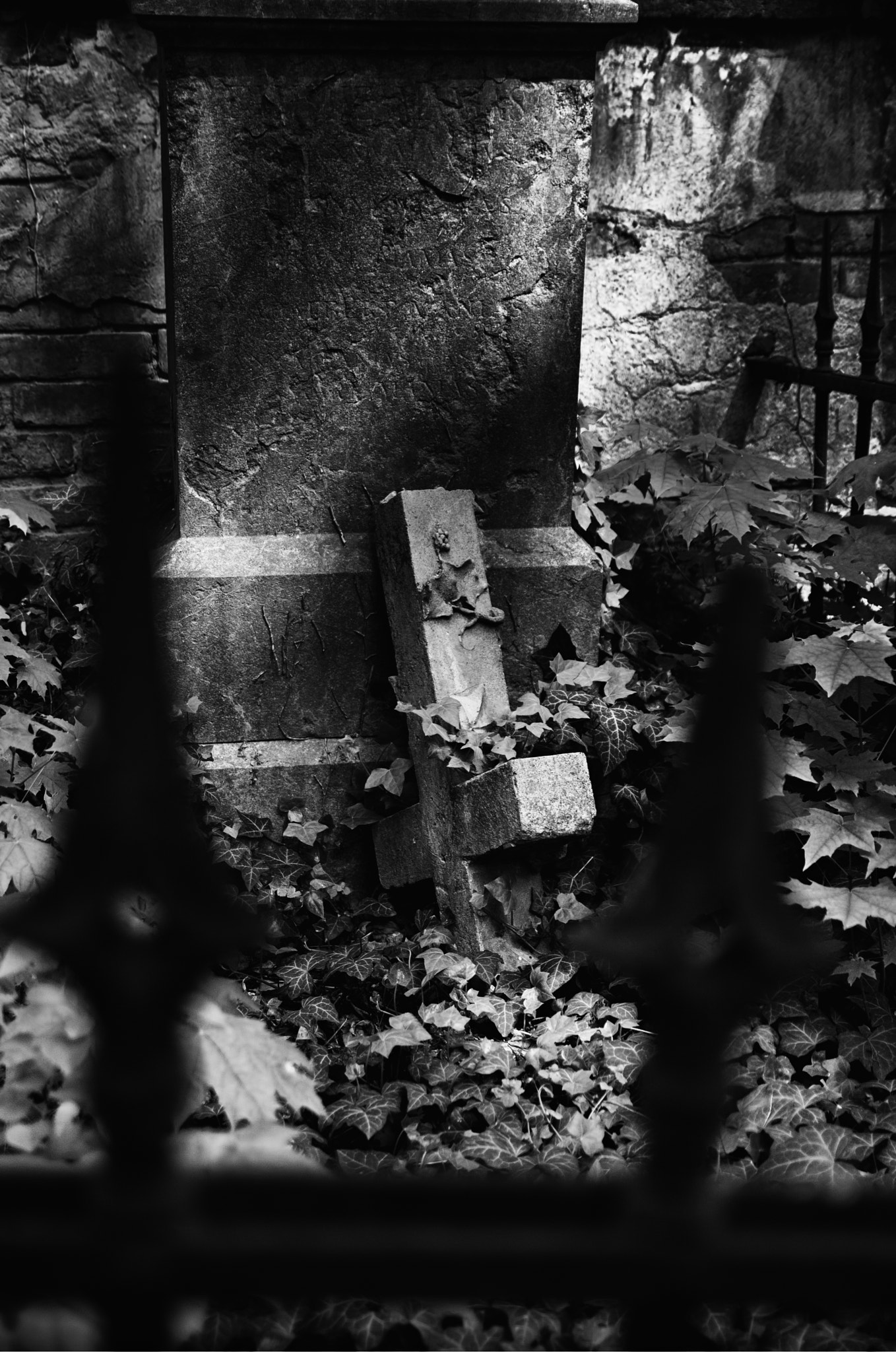 Sony SLT-A65 (SLT-A65V) + Tamron SP AF 17-50mm F2.8 XR Di II LD Aspherical (IF) sample photo. Prague's cemetery - olšany photography