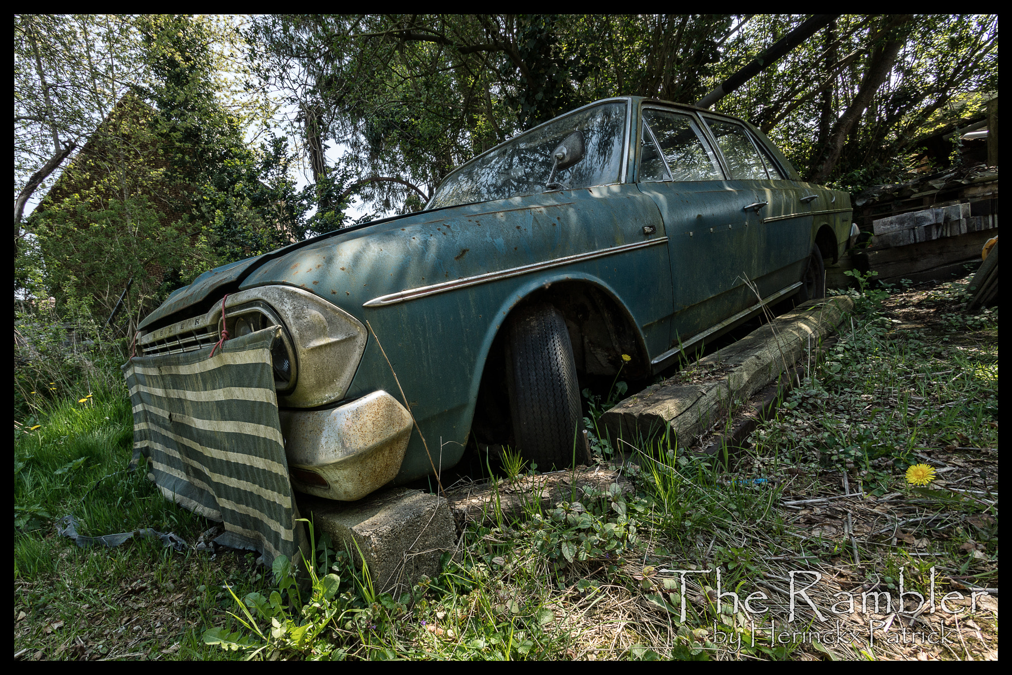 Sony SLT-A77 sample photo. The rambler photography