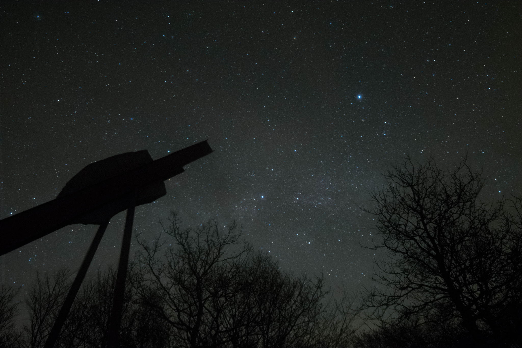 Samyang 14mm F2.8 ED AS IF UMC sample photo. Tørskind ramme (of ) photography