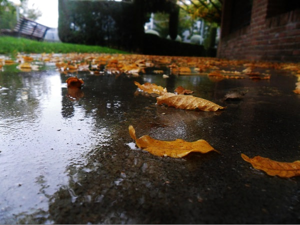 Samsung PL20,PL21 / VLUU PL20,PL21 sample photo. Llueve sobre mojado photography
