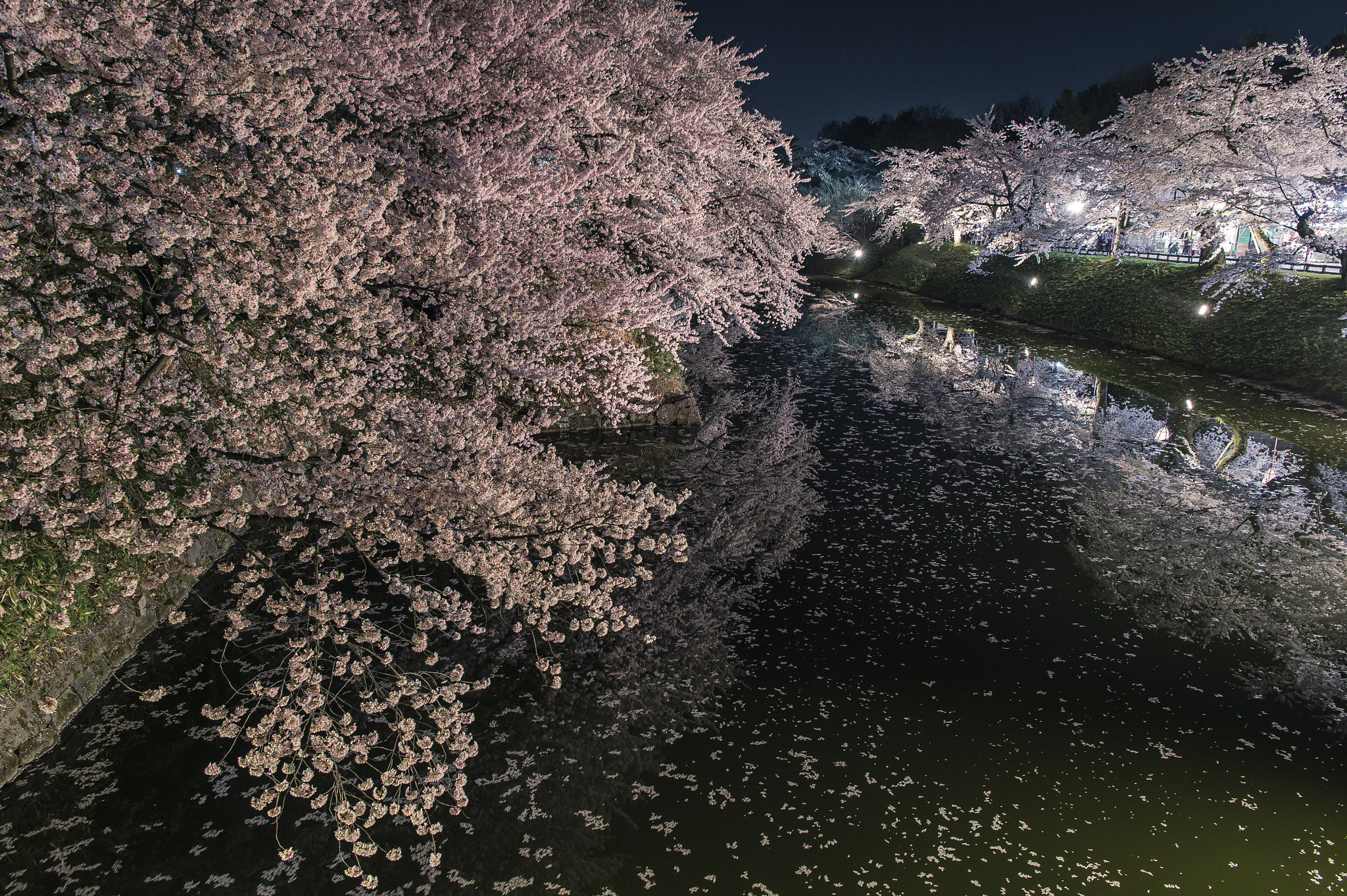 Nikon AF-S Nikkor 24-70mm F2.8E ED VR sample photo. Spring night dream photography