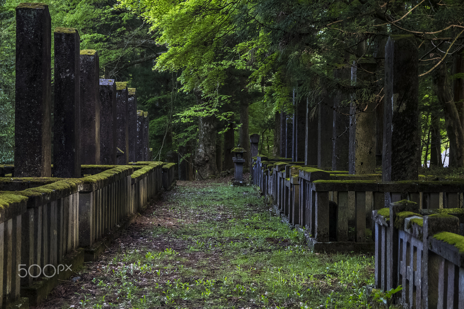 Canon EOS 700D (EOS Rebel T5i / EOS Kiss X7i) sample photo. Samurai tombs photography