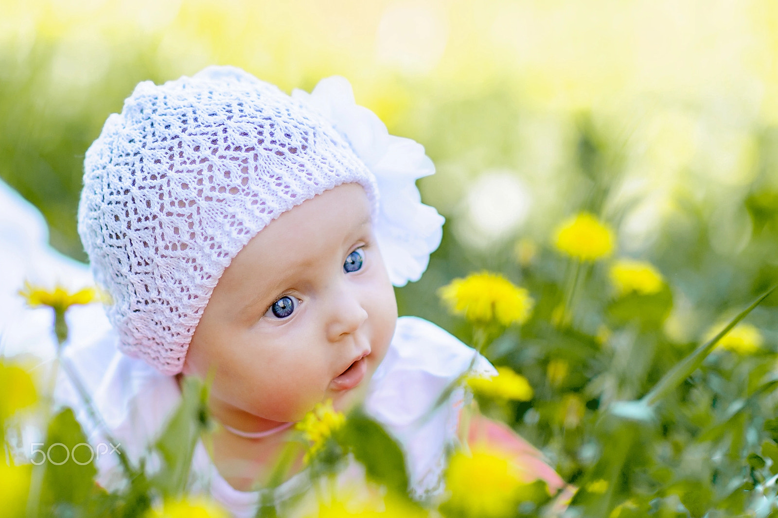 Nikon D3 + Nikon AF-S Nikkor 85mm F1.4G sample photo. Girl and flowers photography