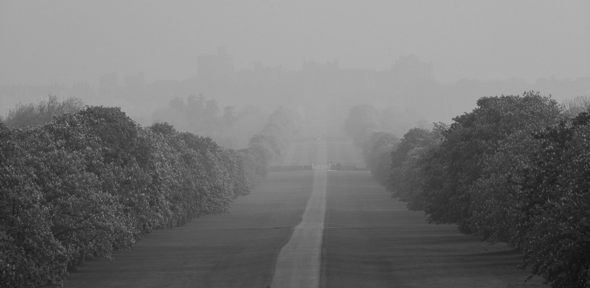 Sigma 50-500mm F4.5-6.3 DG OS HSM sample photo. Windsor great park 7 may 2016 012 photography