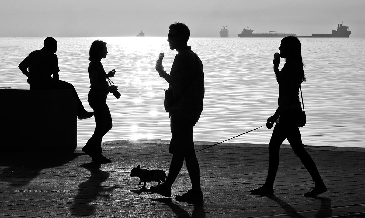 Olympus OM-D E-M5 sample photo. Summer silhouettes photography