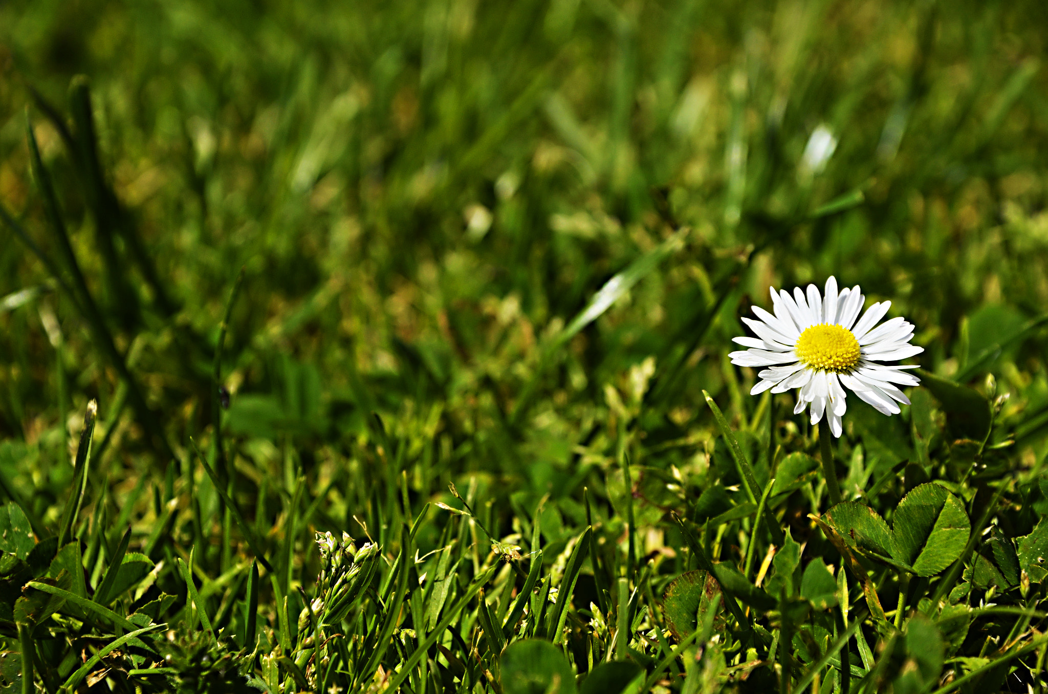 Nikon D5100 + Nikon AF-S Nikkor 28mm F1.8G sample photo. " feel the nature " photography