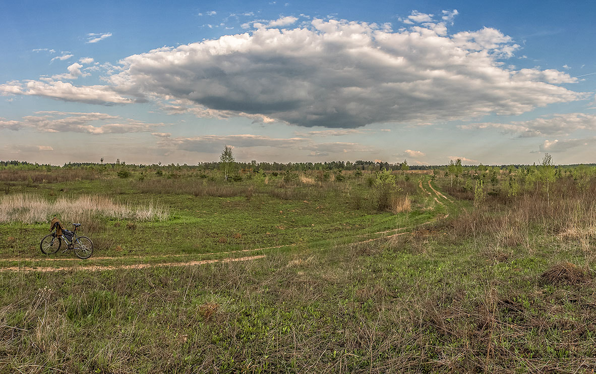 AF Zoom-Nikkor 28-105mm f/3.5-4.5D IF sample photo. Холодный майский день photography