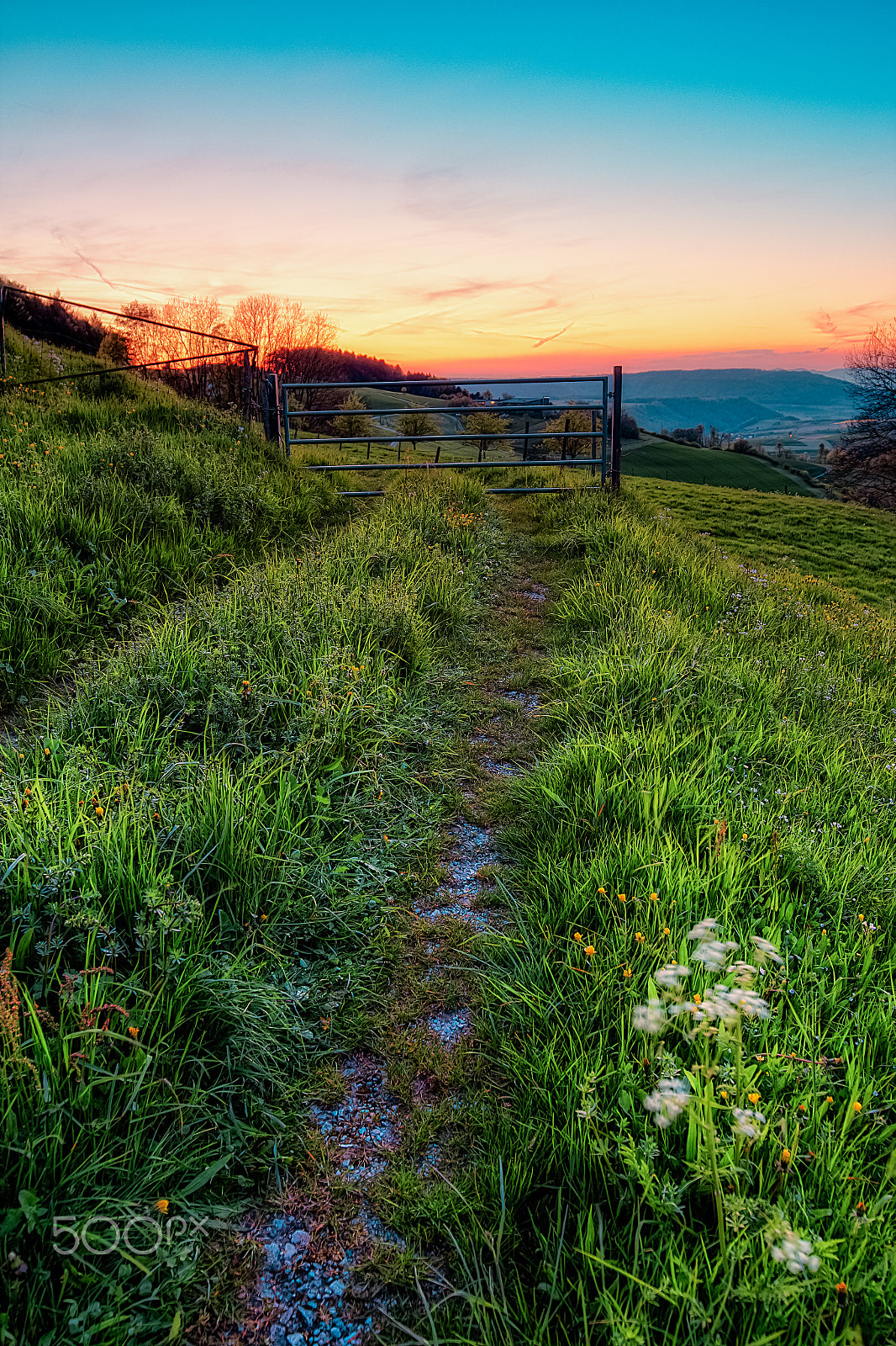 Canon EOS 60D + Canon EF 16-35mm F4L IS USM sample photo. A dream of spring photography