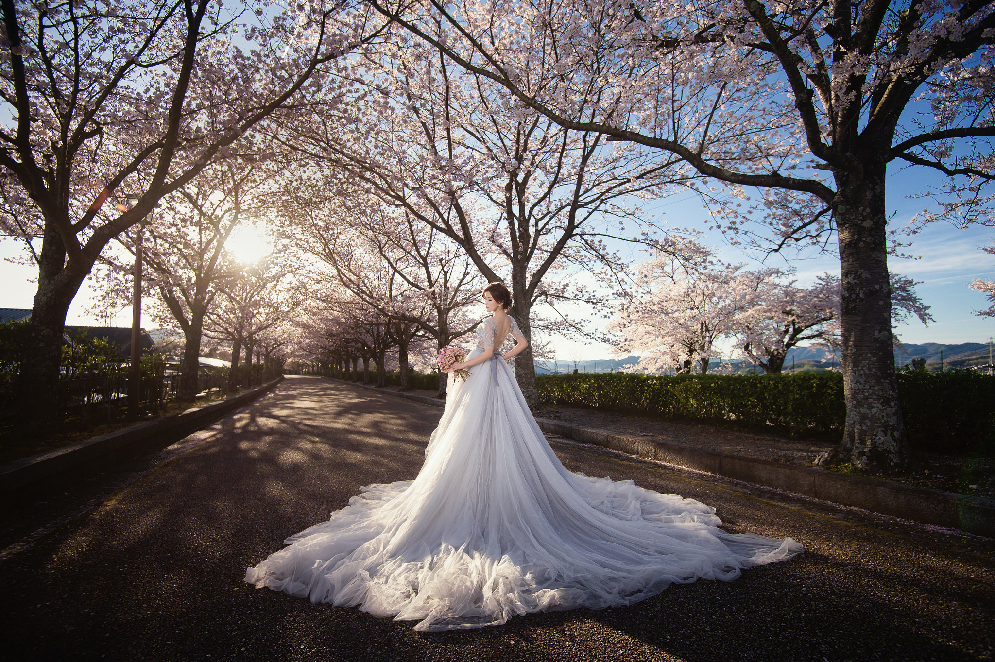 Nikon D4 sample photo. Golden cherry blossom photography