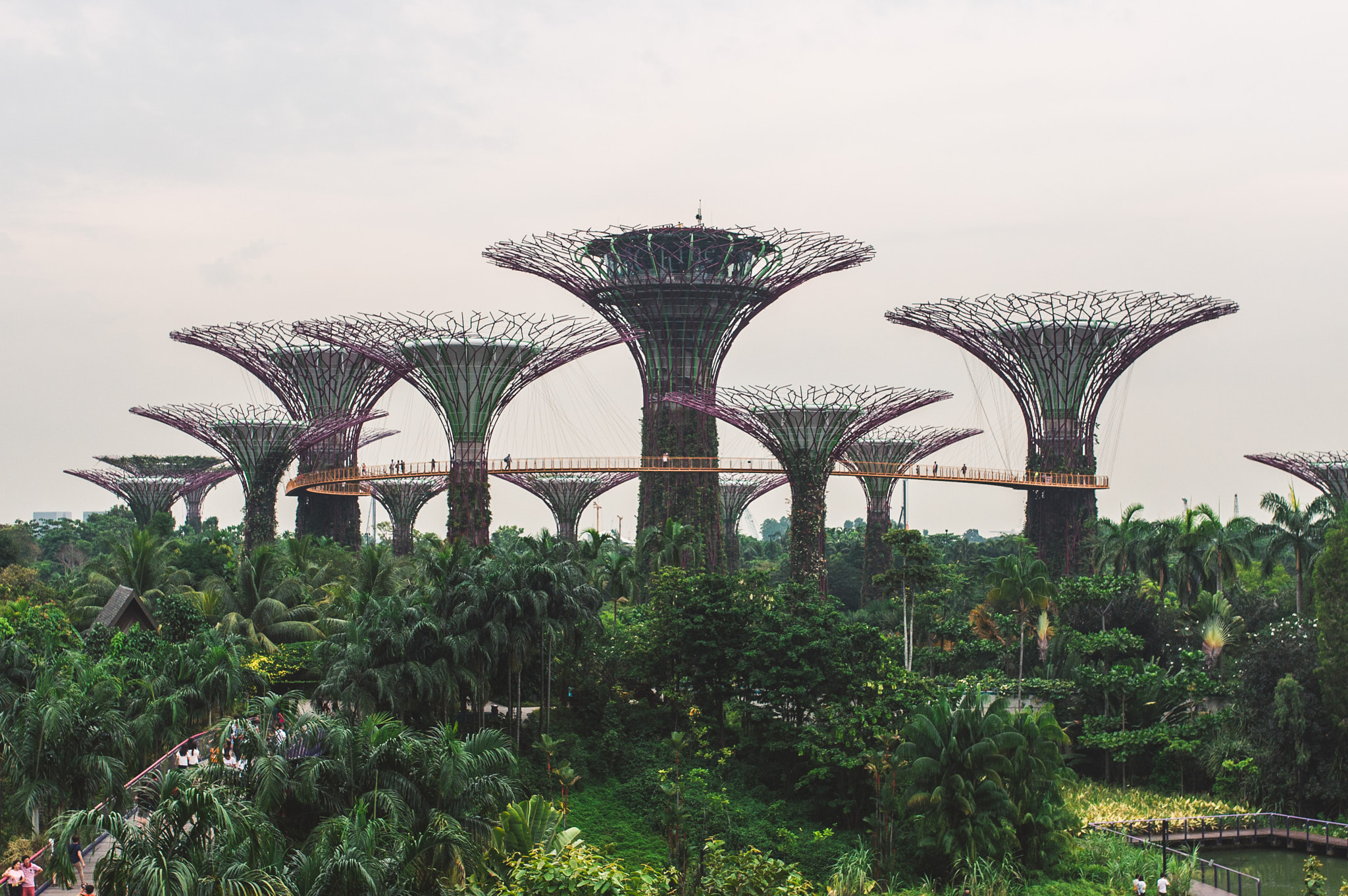 Nikon D4 + Sigma 35mm F1.4 DG HSM Art sample photo. Garden towers photography