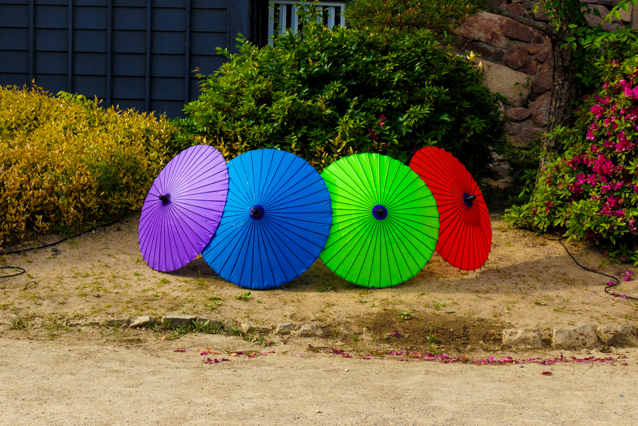 Canon EF-S 18-135mm F3.5-5.6 IS STM sample photo. Umbrellas at okayama castle photography