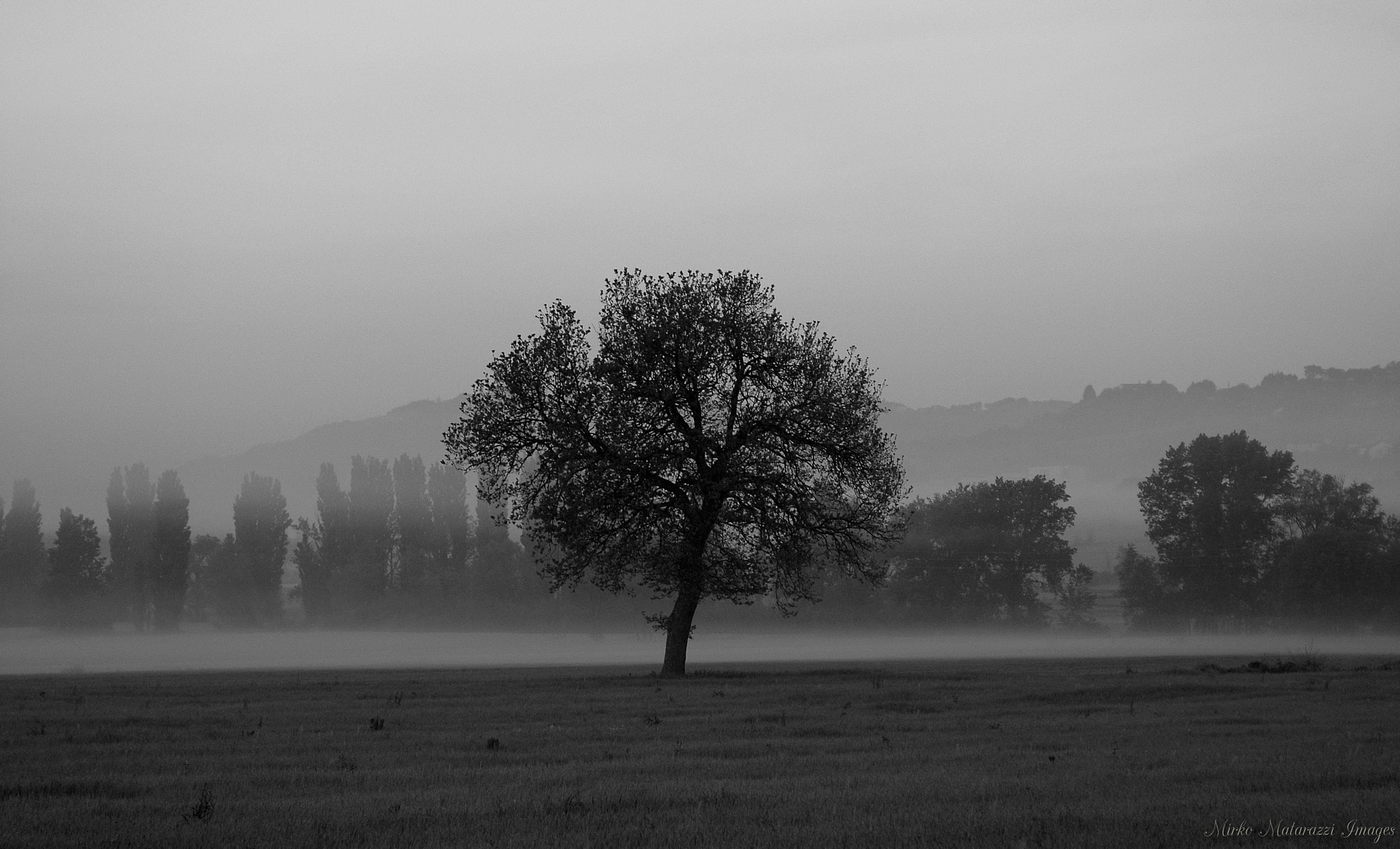 Nikon D200 + AF Zoom-Nikkor 28-85mm f/3.5-4.5 sample photo. Foggy morning photography