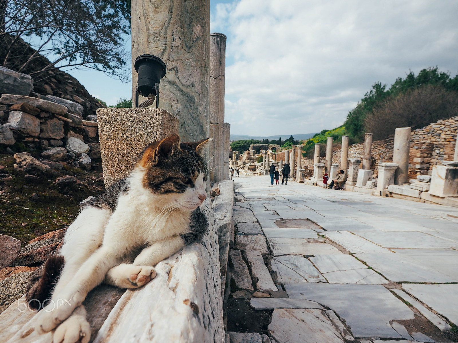 Panasonic Lumix G Vario 7-14mm F4 ASPH sample photo. Catwalk guard photography