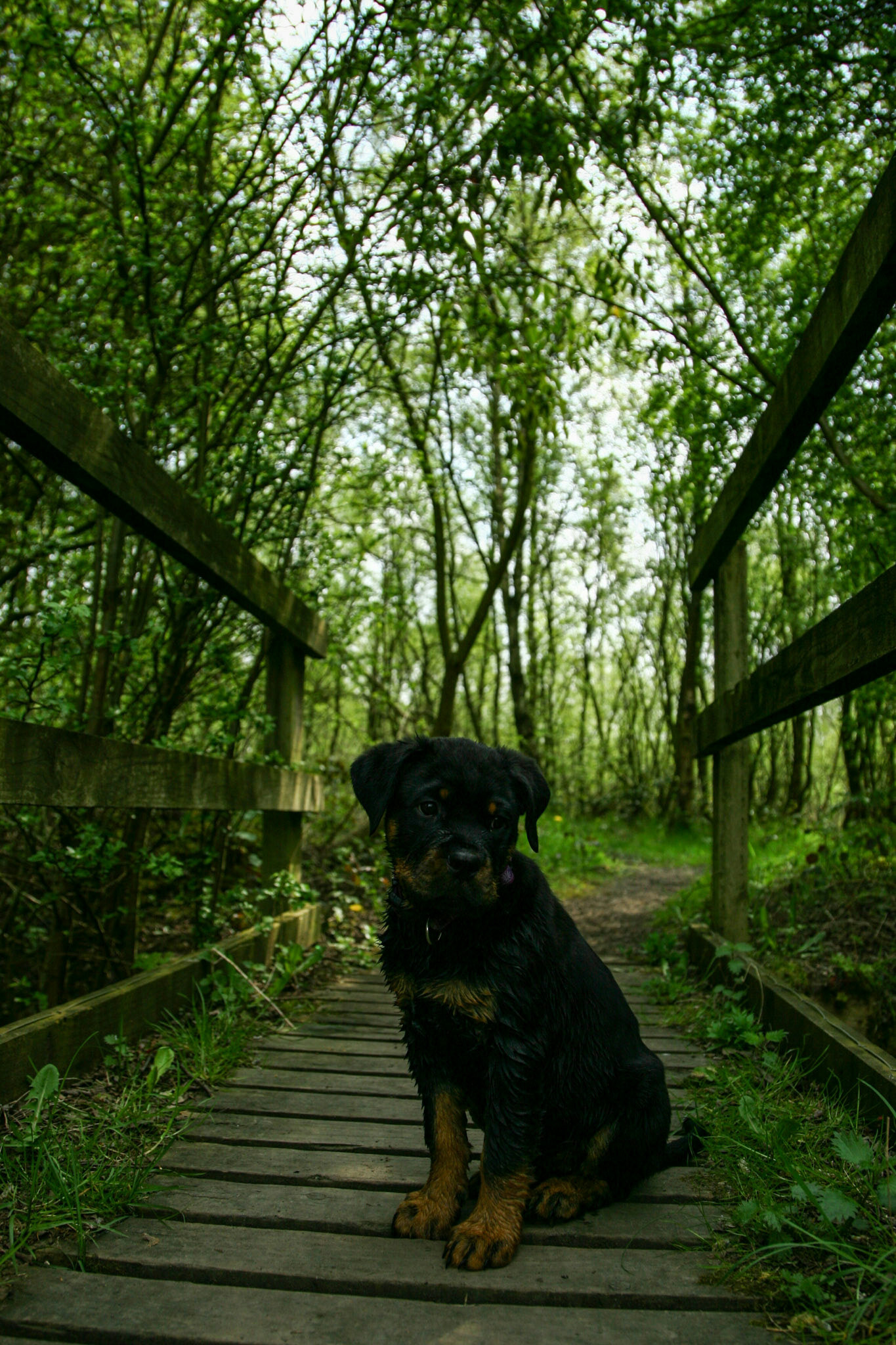 Canon EOS-1D Mark II N sample photo. New places photography