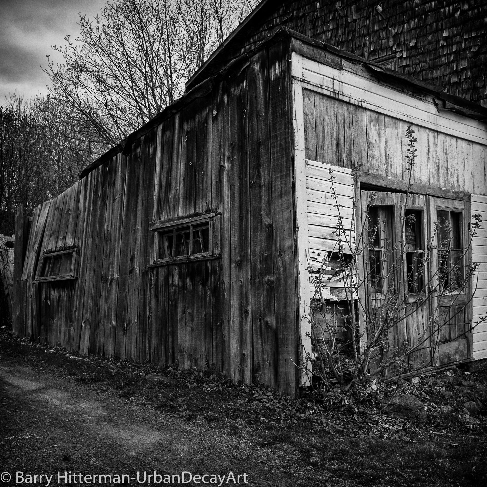 Nikon Df sample photo. The garage photography