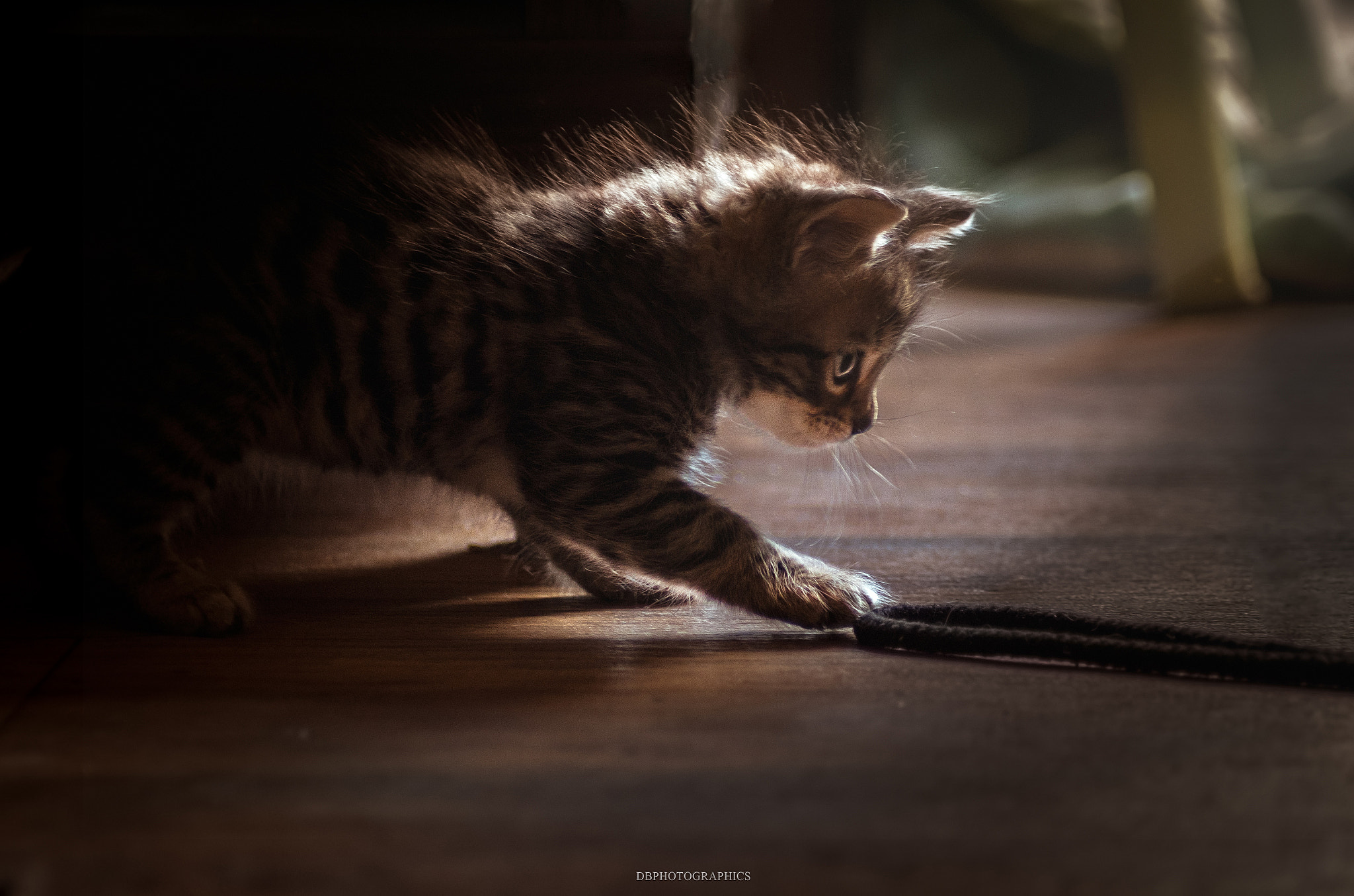 Tamron AF 70-300mm F4-5.6 Di LD Macro sample photo. Mylo photography