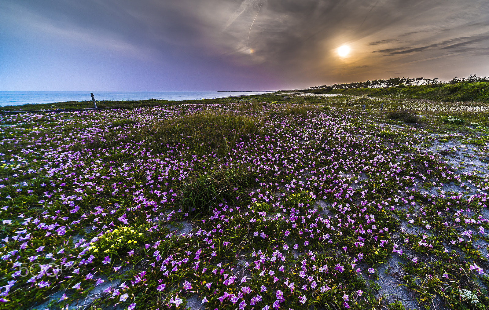 Sigma 12-24mm F4.5-5.6 EX DG Aspherical HSM sample photo. Sunset beach photography
