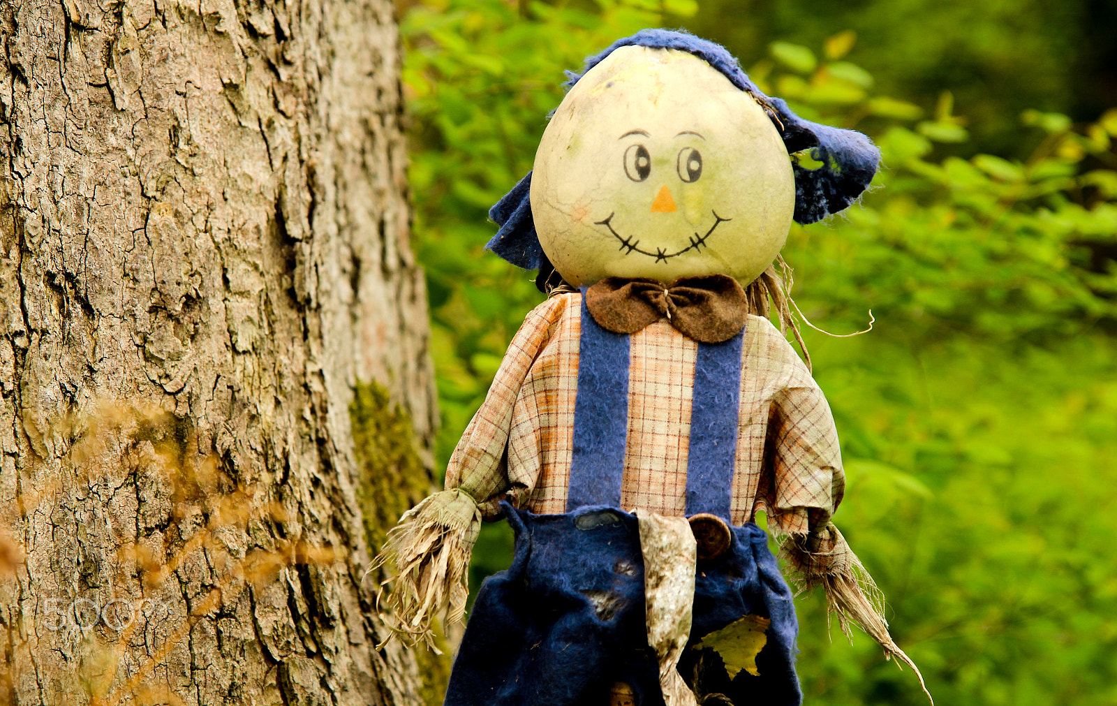 Sigma 17-70mm F2.8-4 DC Macro OS HSM sample photo. Kid scarecrow photography