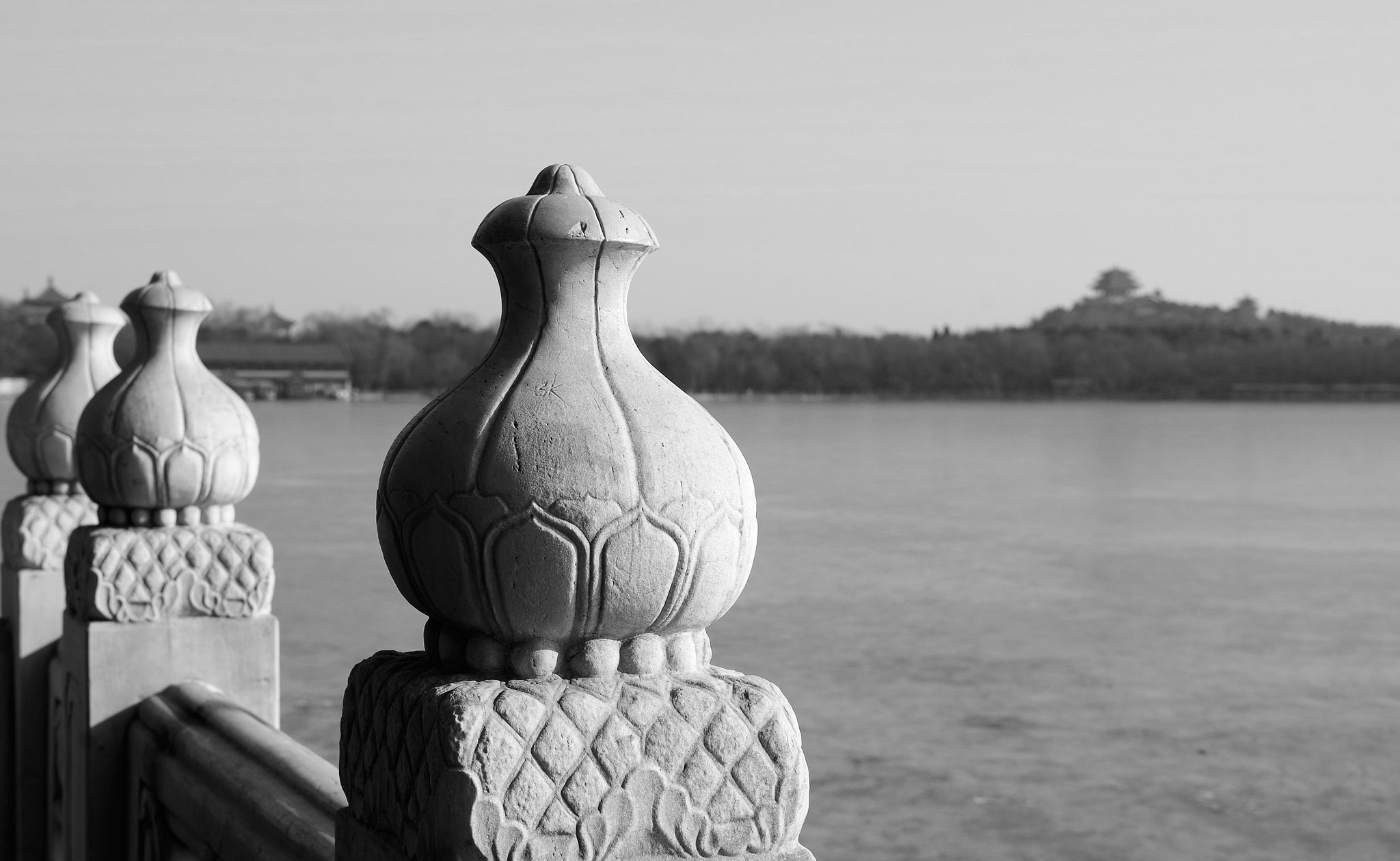 HD Pentax DA 35mm F2.8 Macro Limited sample photo. _igp9040.jpg photography