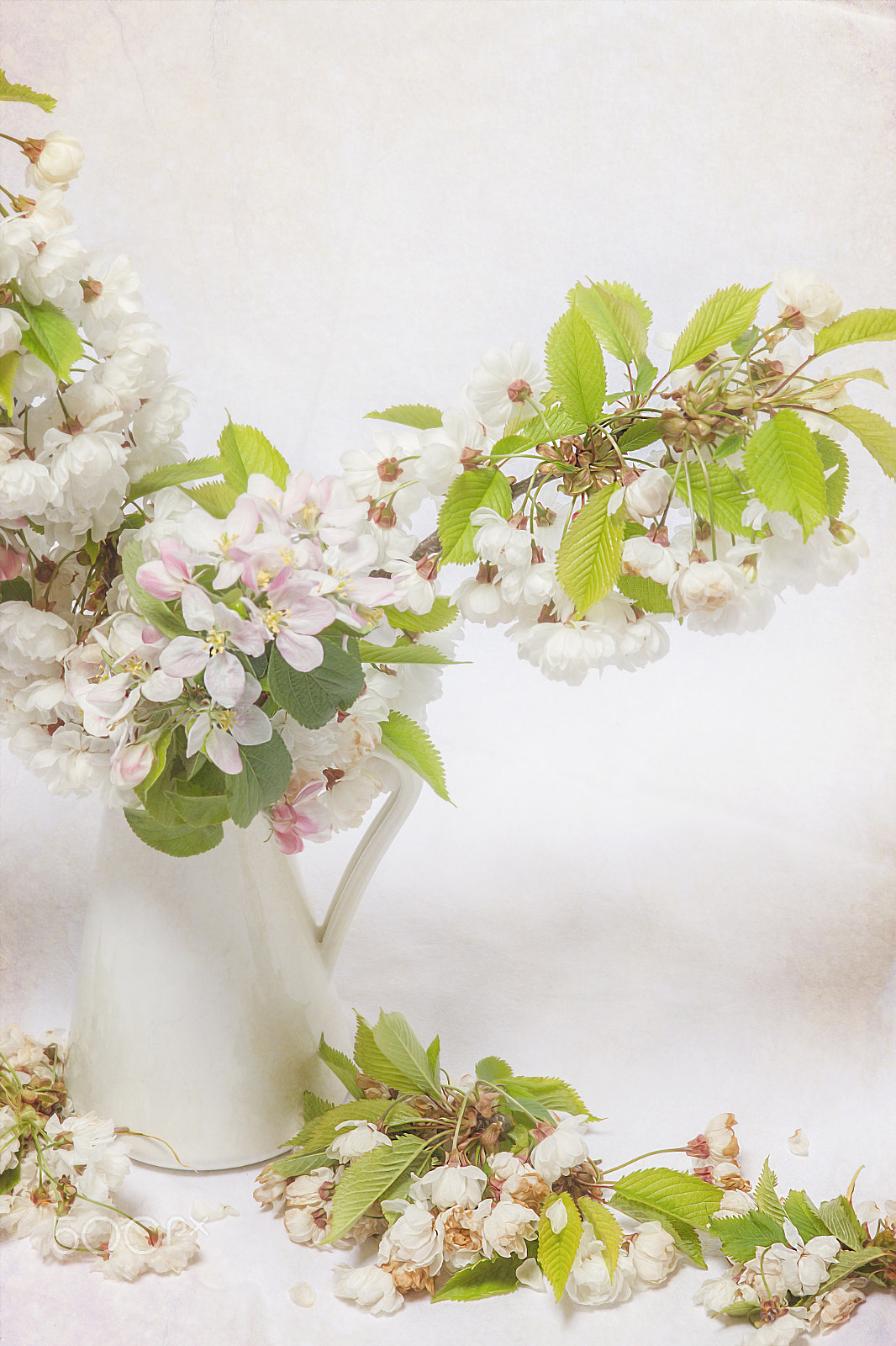 Canon EOS 7D + Sigma 105mm F2.8 EX DG Macro sample photo. White blossom photography