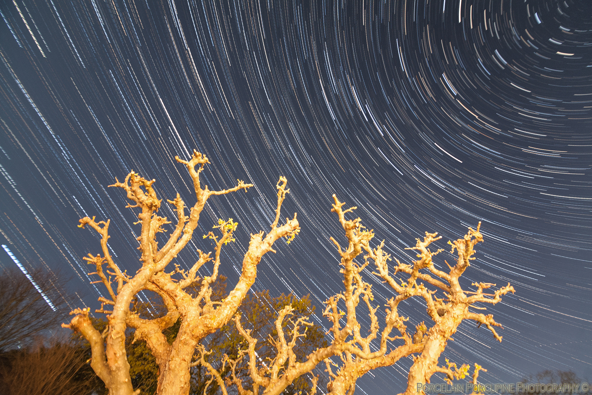 Canon EOS 5D + Tokina AT-X Pro 11-16mm F2.8 DX sample photo. Dorset star trails 2016 photography