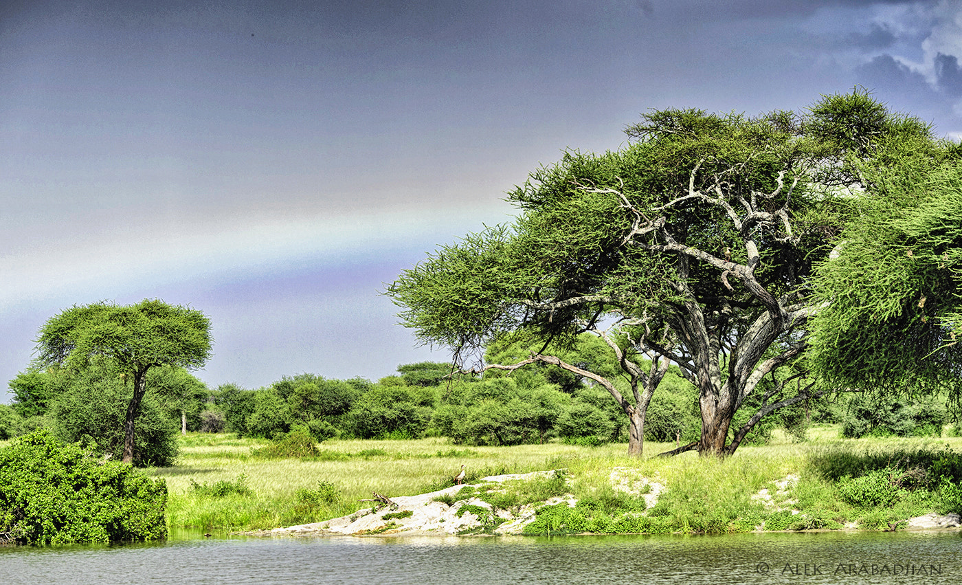 Nikon D4S sample photo. Rainbow in africa photography