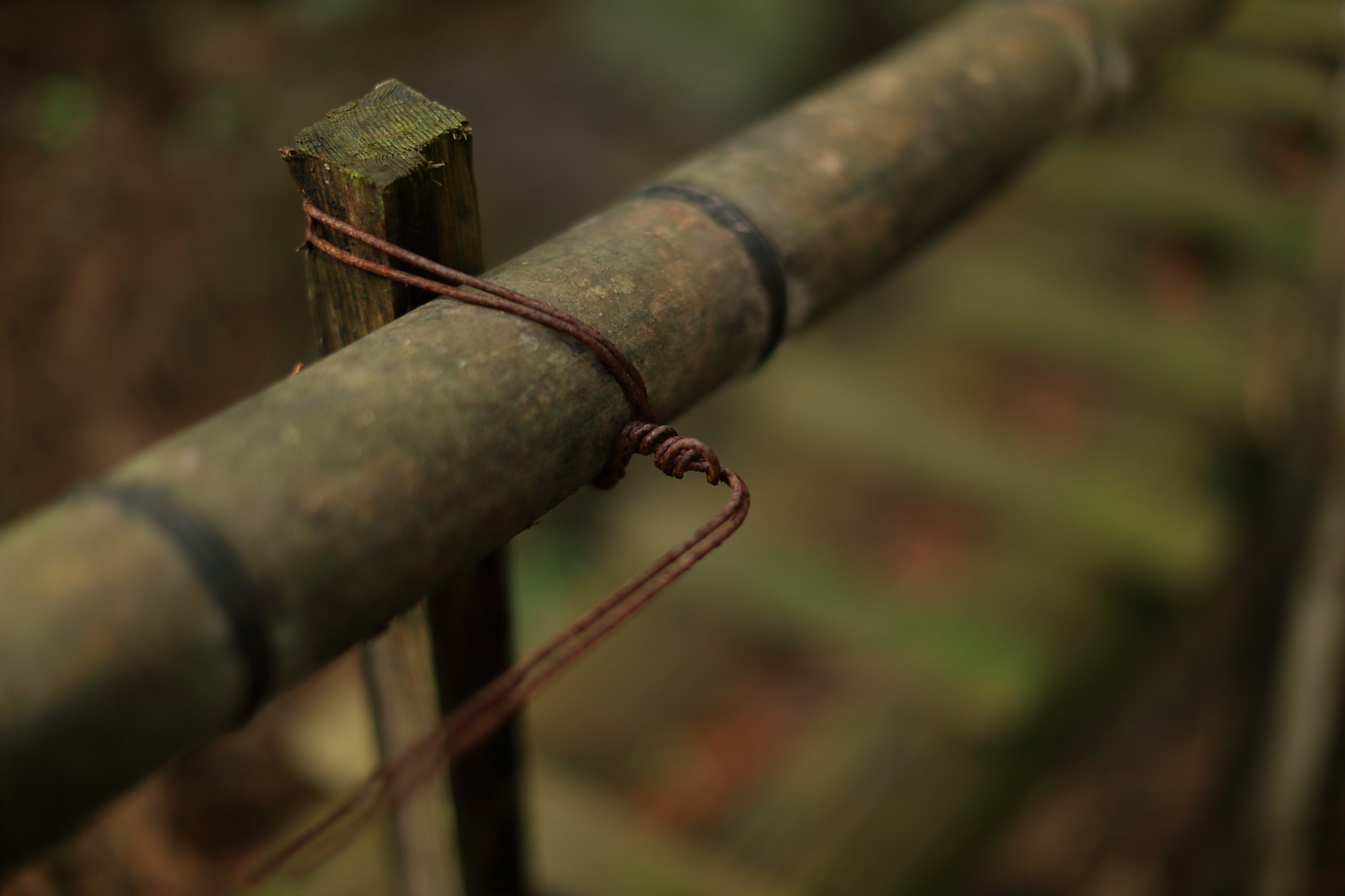Canon EF 50mm F1.2L USM sample photo. A ladder bridge photography