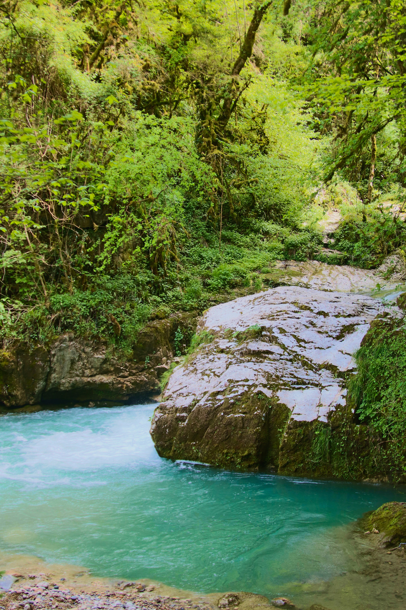 Canon EF 24-85mm F3.5-4.5 USM sample photo. River in the vercors (french alps) photography