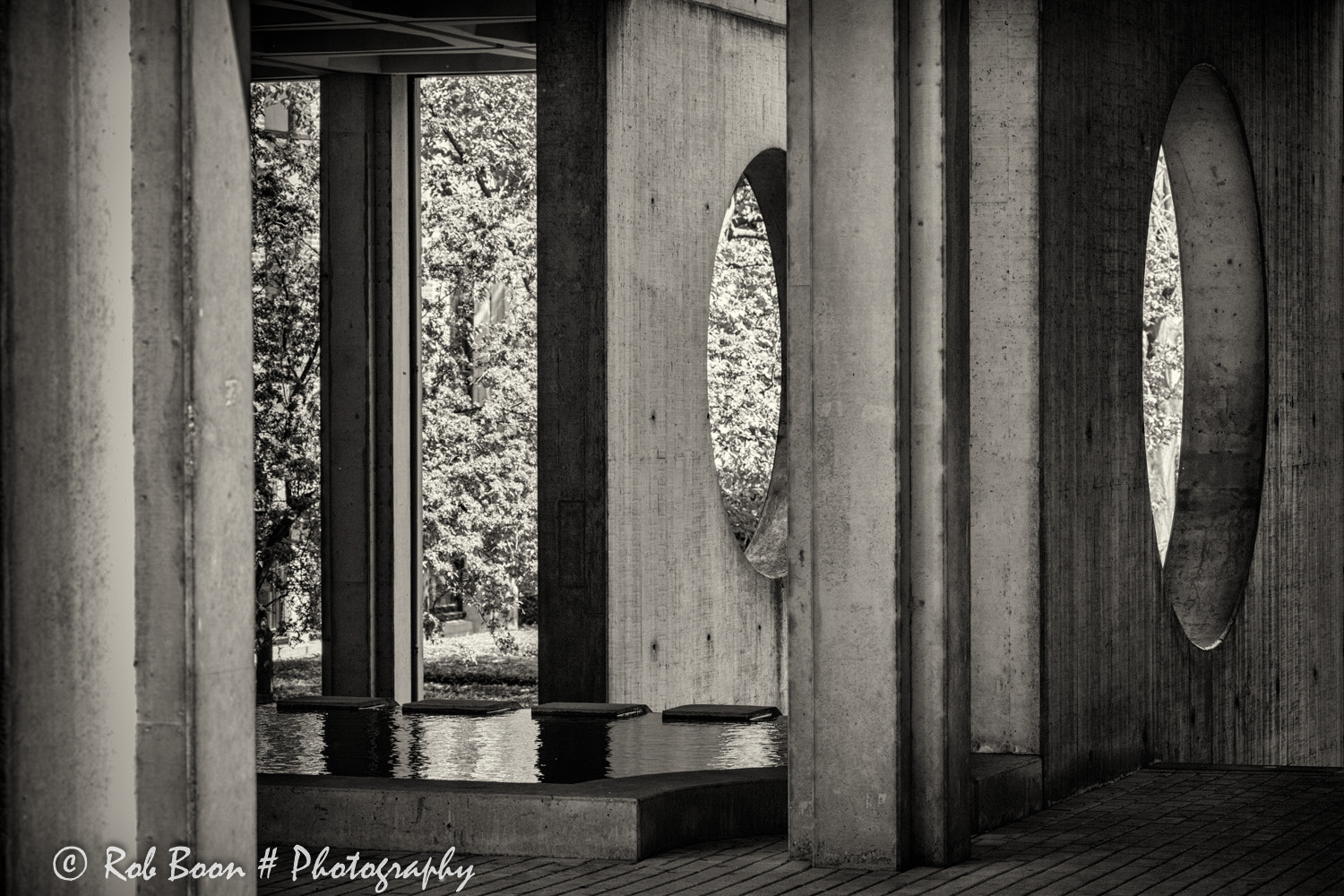 Canon EOS 5DS + Canon EF 100-400mm F4.5-5.6L IS II USM sample photo. The art of concrete 6 photography