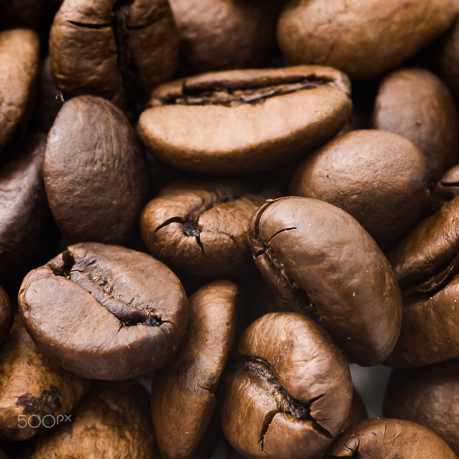 Nikon D750 + AF Micro-Nikkor 60mm f/2.8 sample photo. Closeup of coffee beans on brown background photography