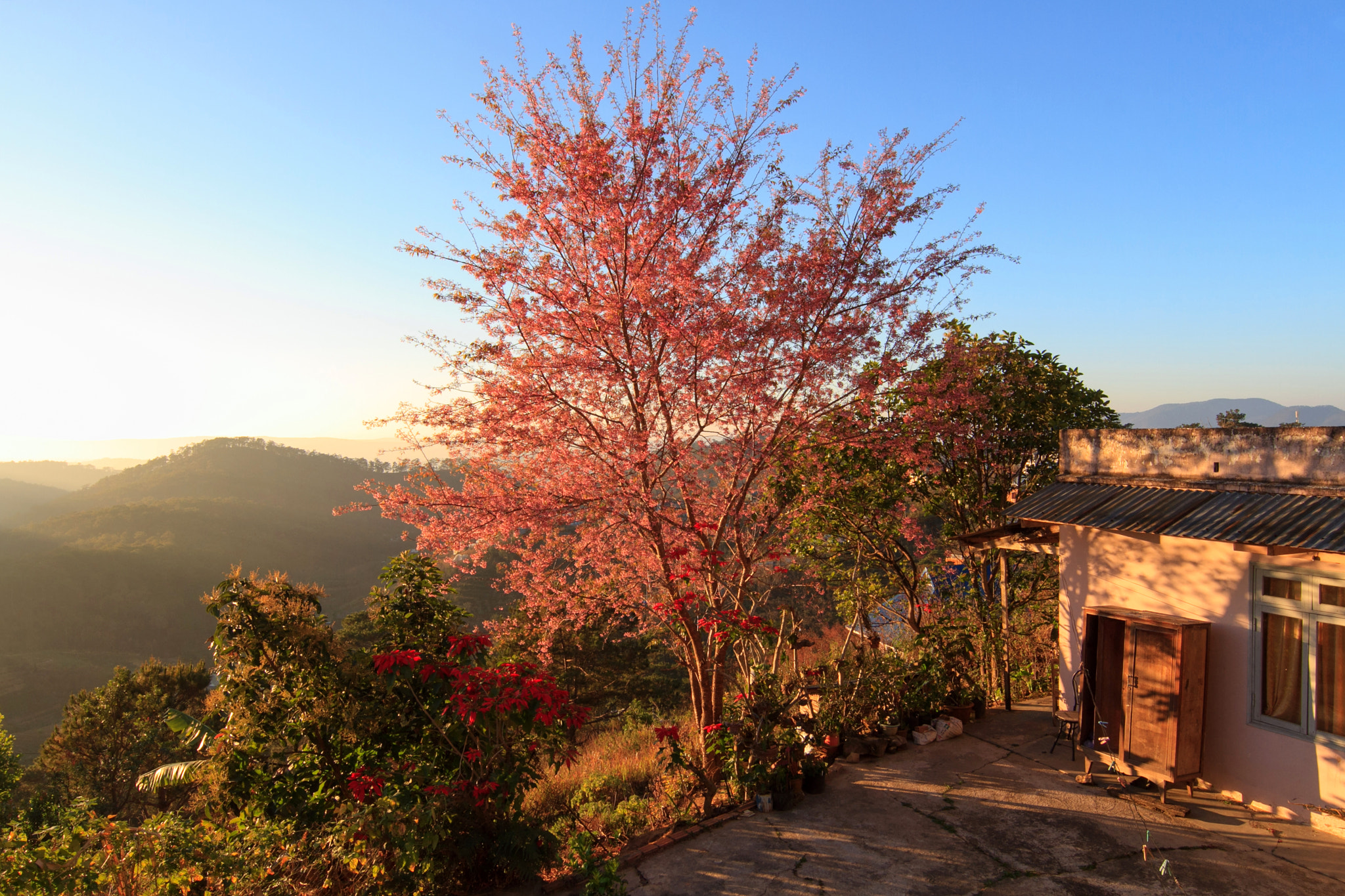 Canon EF 14mm F2.8L II USM sample photo. Da lat sunshine photography