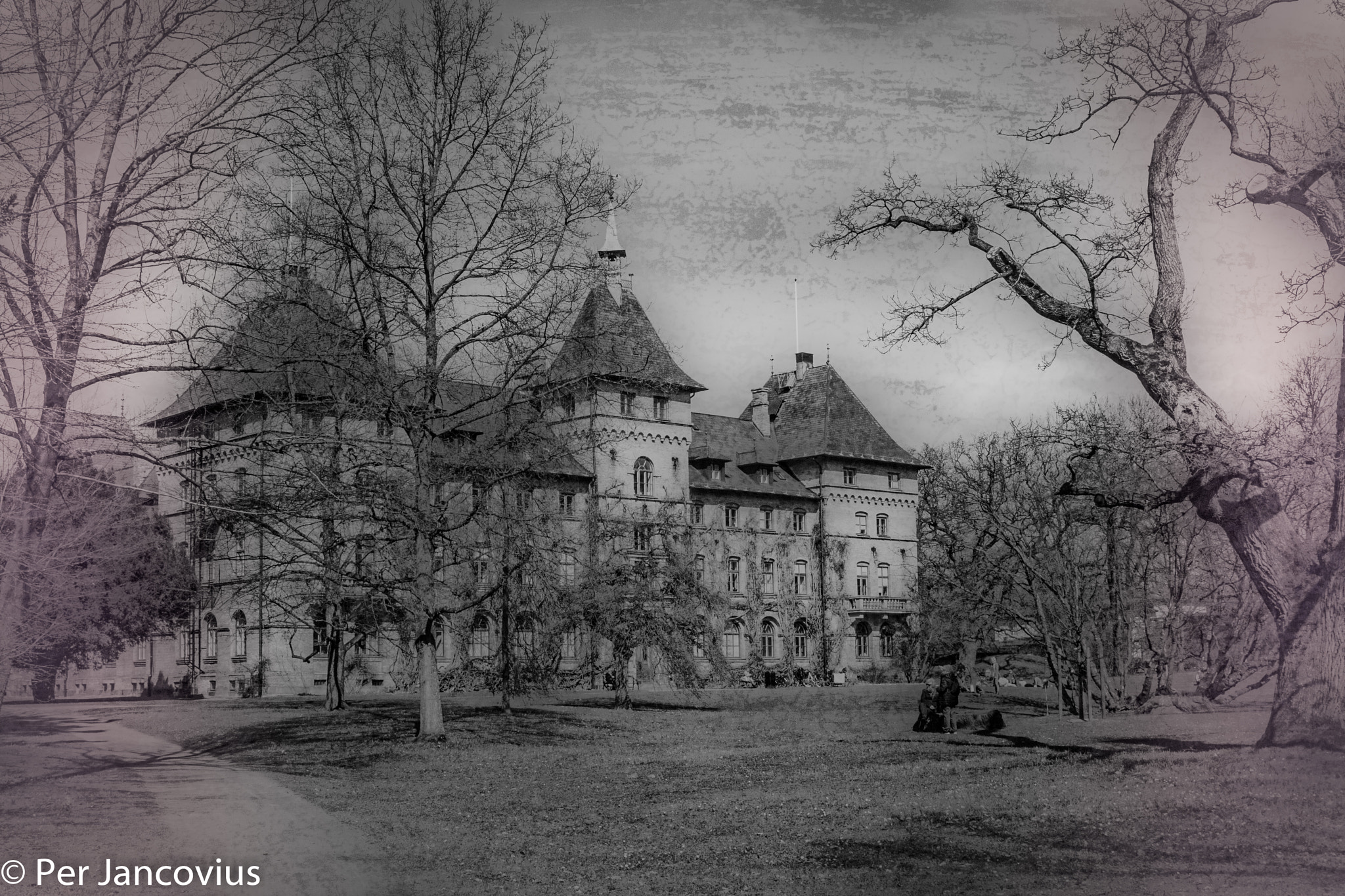 Canon EOS 40D sample photo. Alnarp castle photography