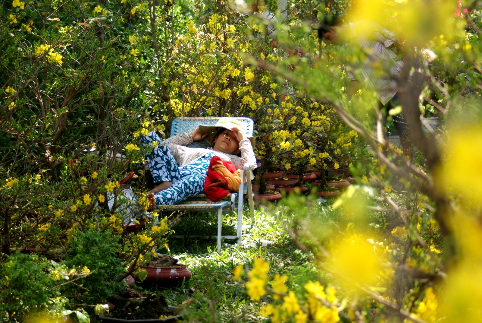 Minolta AF 28-100mm F3.5-5.6 (D) sample photo. Nap at flower market photography