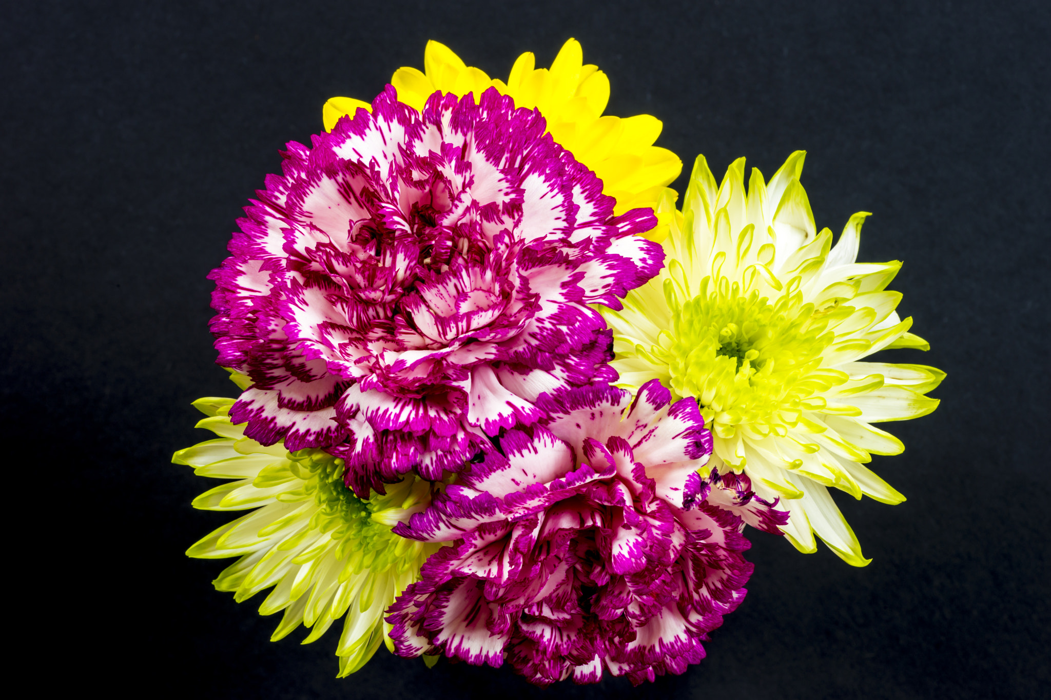 Sony a99 II + Minolta AF 100mm F2.8 Macro [New] sample photo. Chrysanthemums and carnations. photography