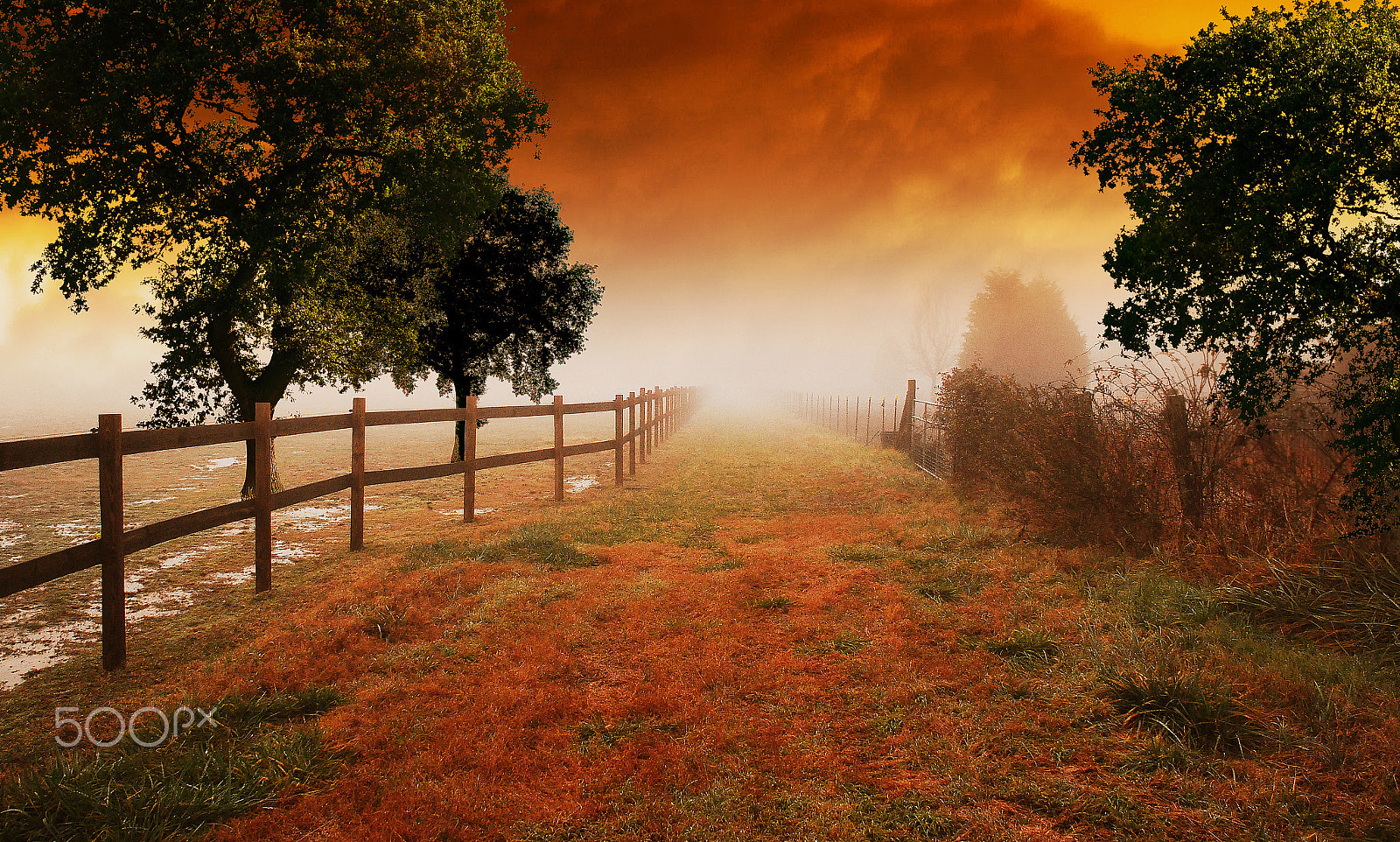 Nikon D80 + Sigma 18-125mm F3.8-5.6 DC HSM sample photo. Dusk country photography
