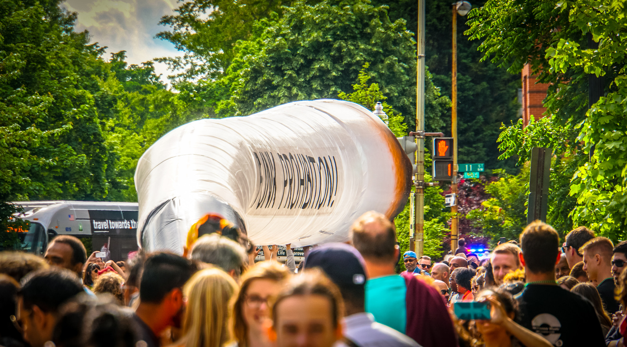 Sony a6300 + Sony E 18-200mm F3.5-6.3 OSS sample photo. 2016.05.07 funk parade washington, dc usa  04711 photography