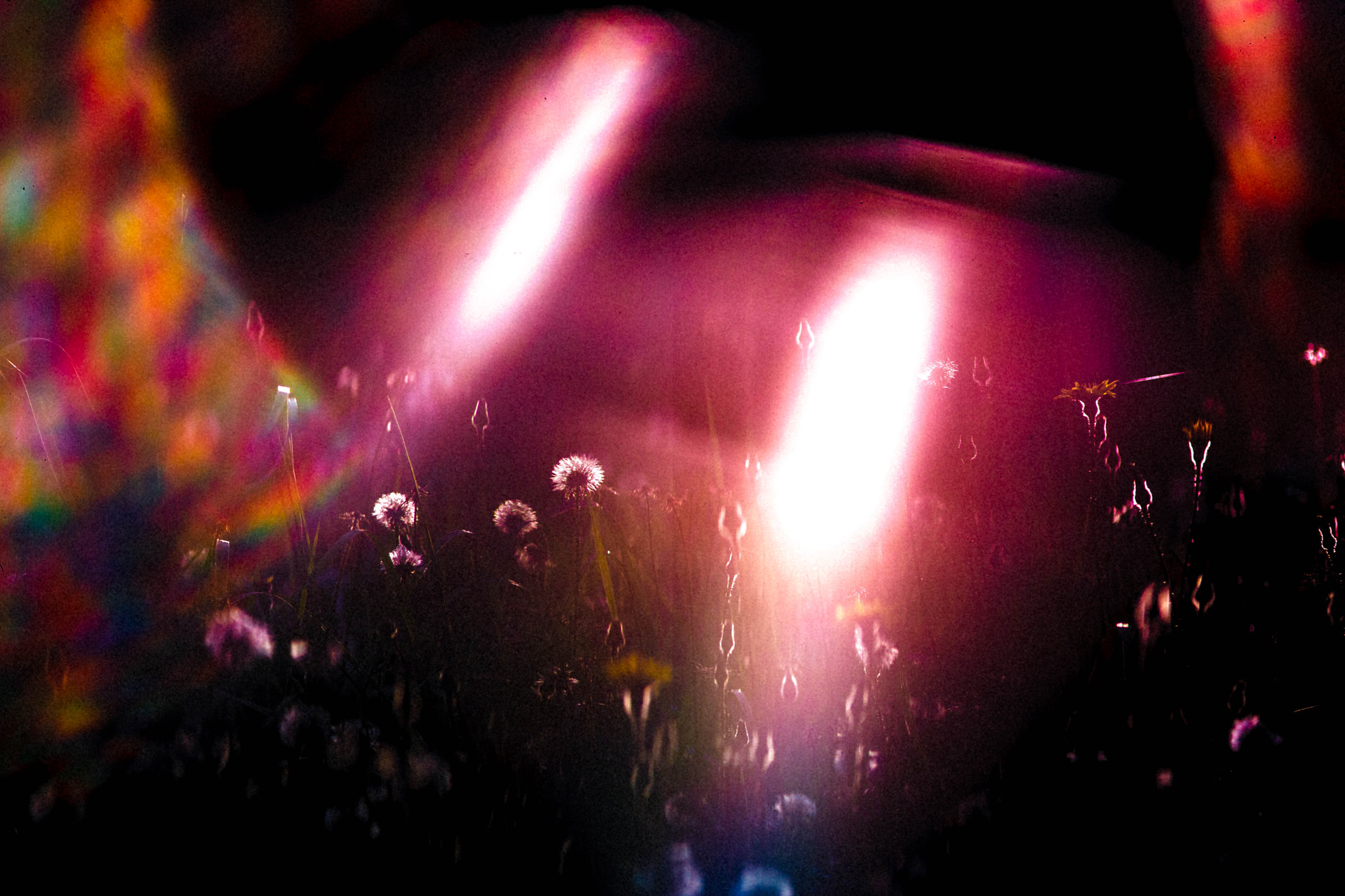 Canon EF 35-80mm f/4-5.6 sample photo. Ufo photography