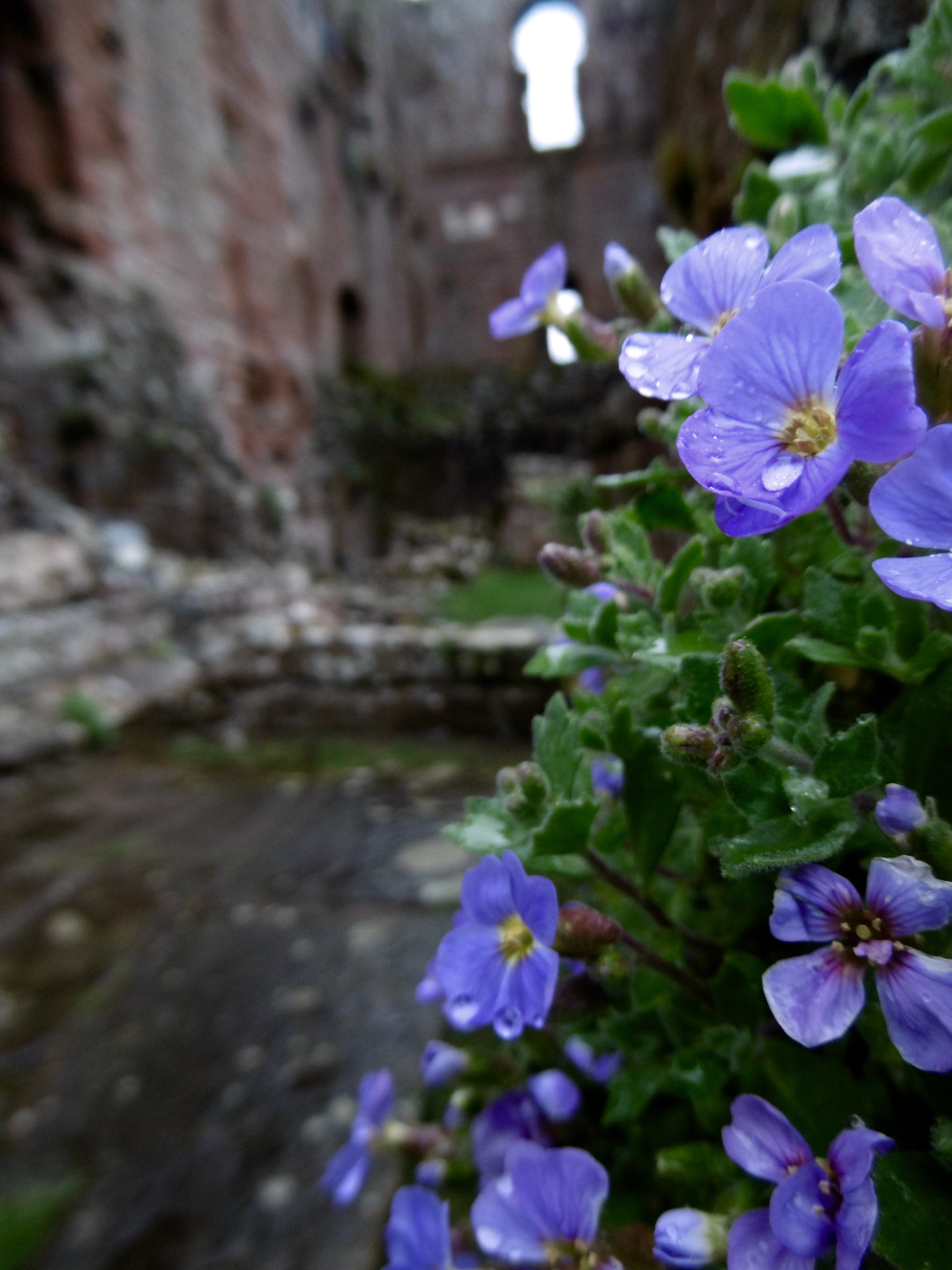 Panasonic DMC-SZ8 sample photo. Lake district photography